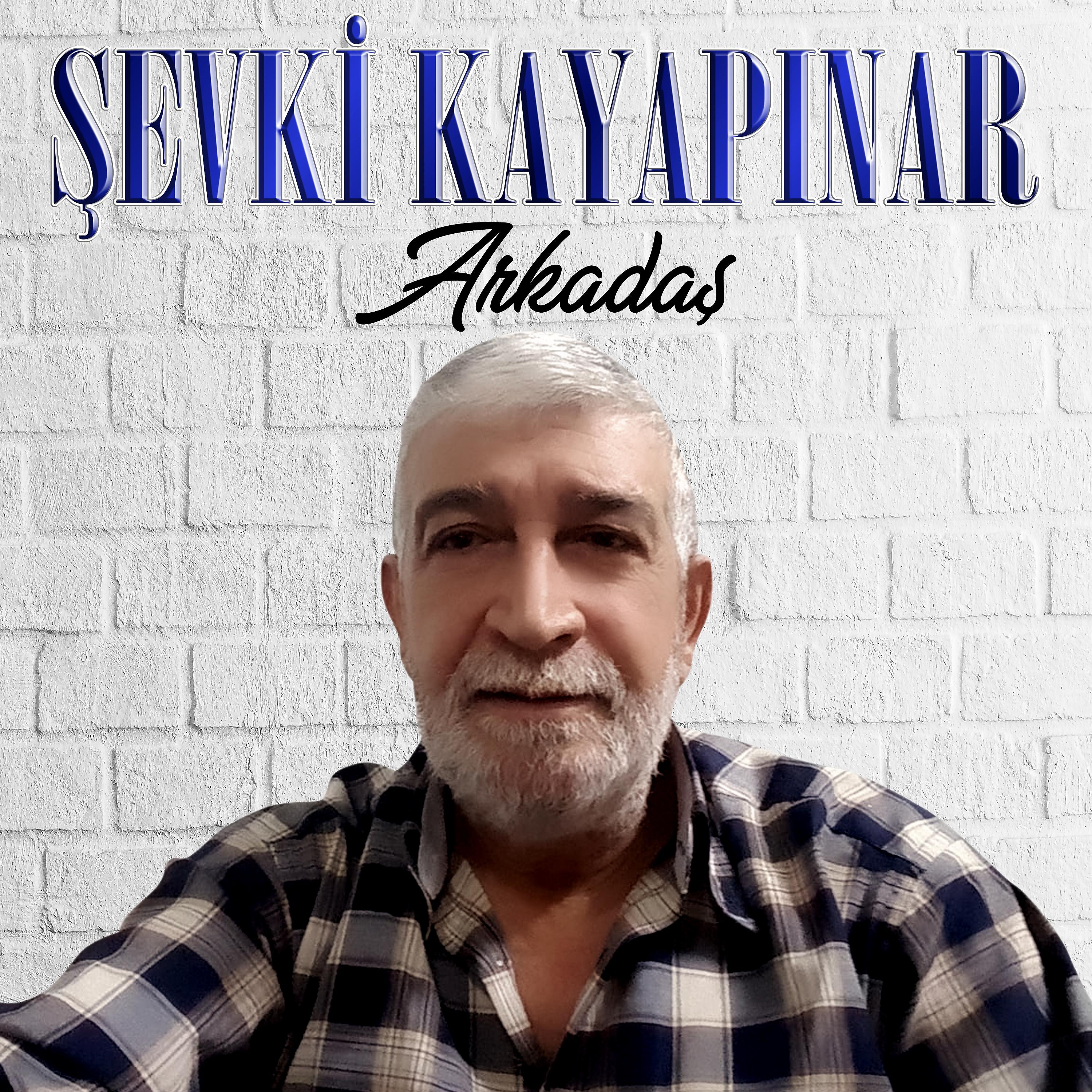 Постер альбома Arkadaş
