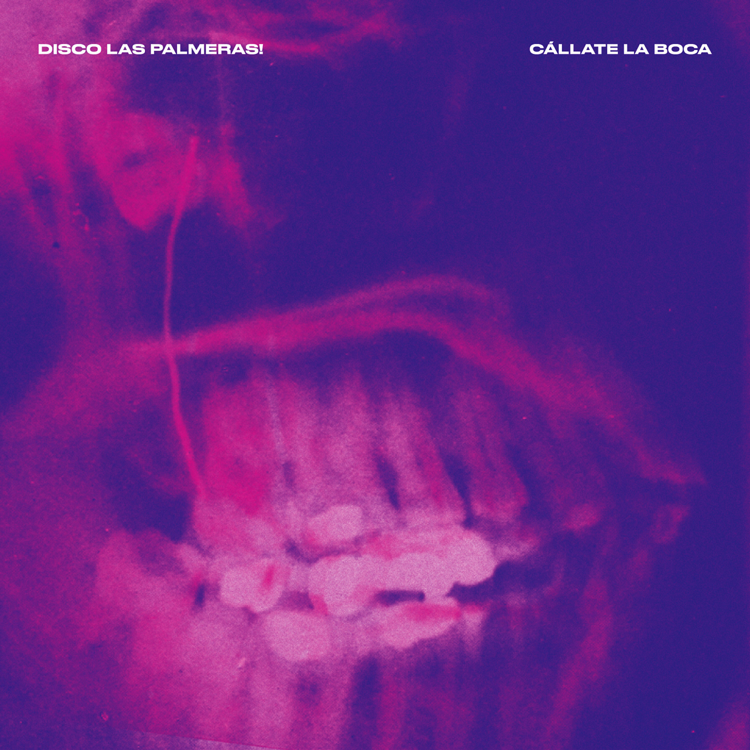 Disco Las Palmeras! - Cállate la Boca