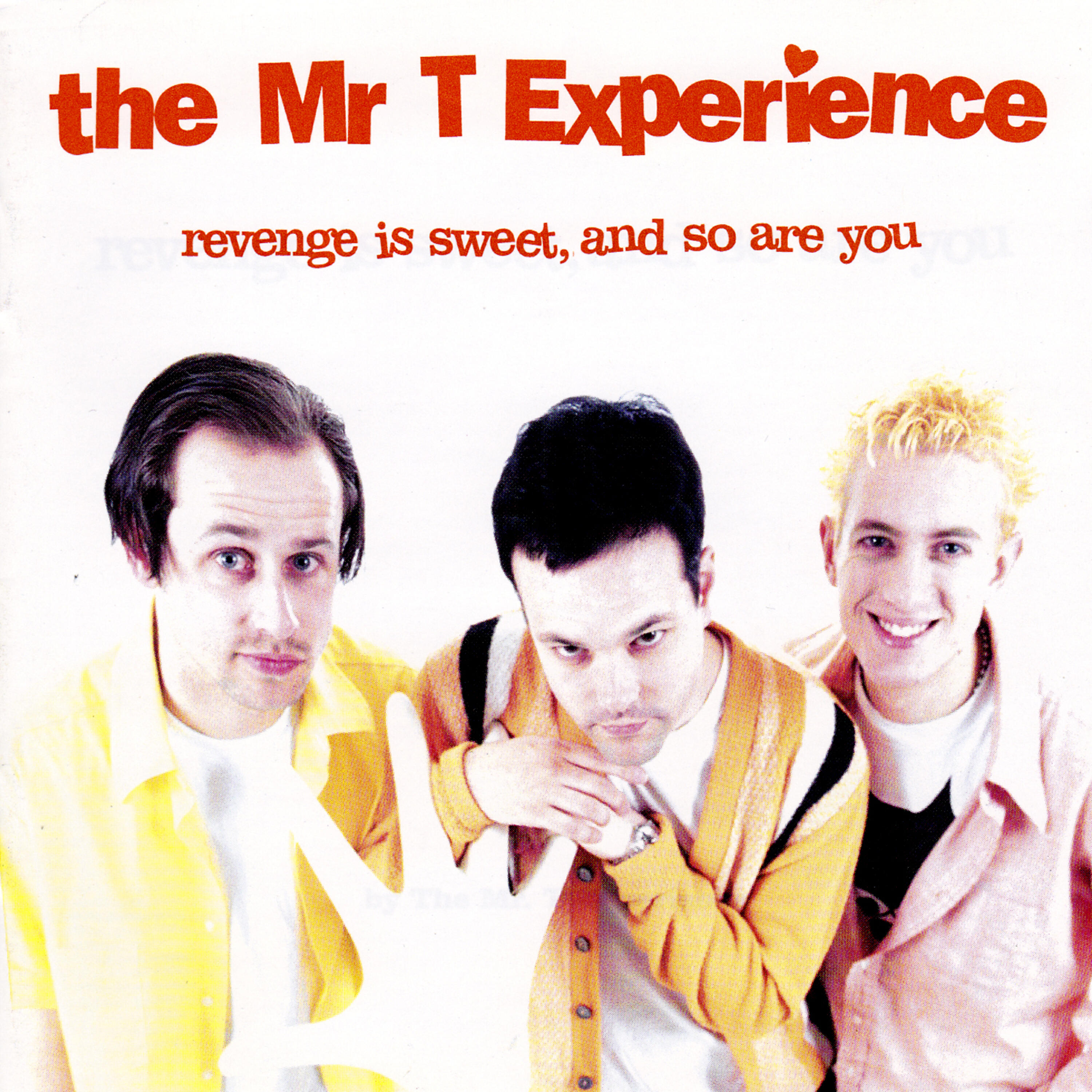 The Mr. T Experience - With My Looks and Your Brains