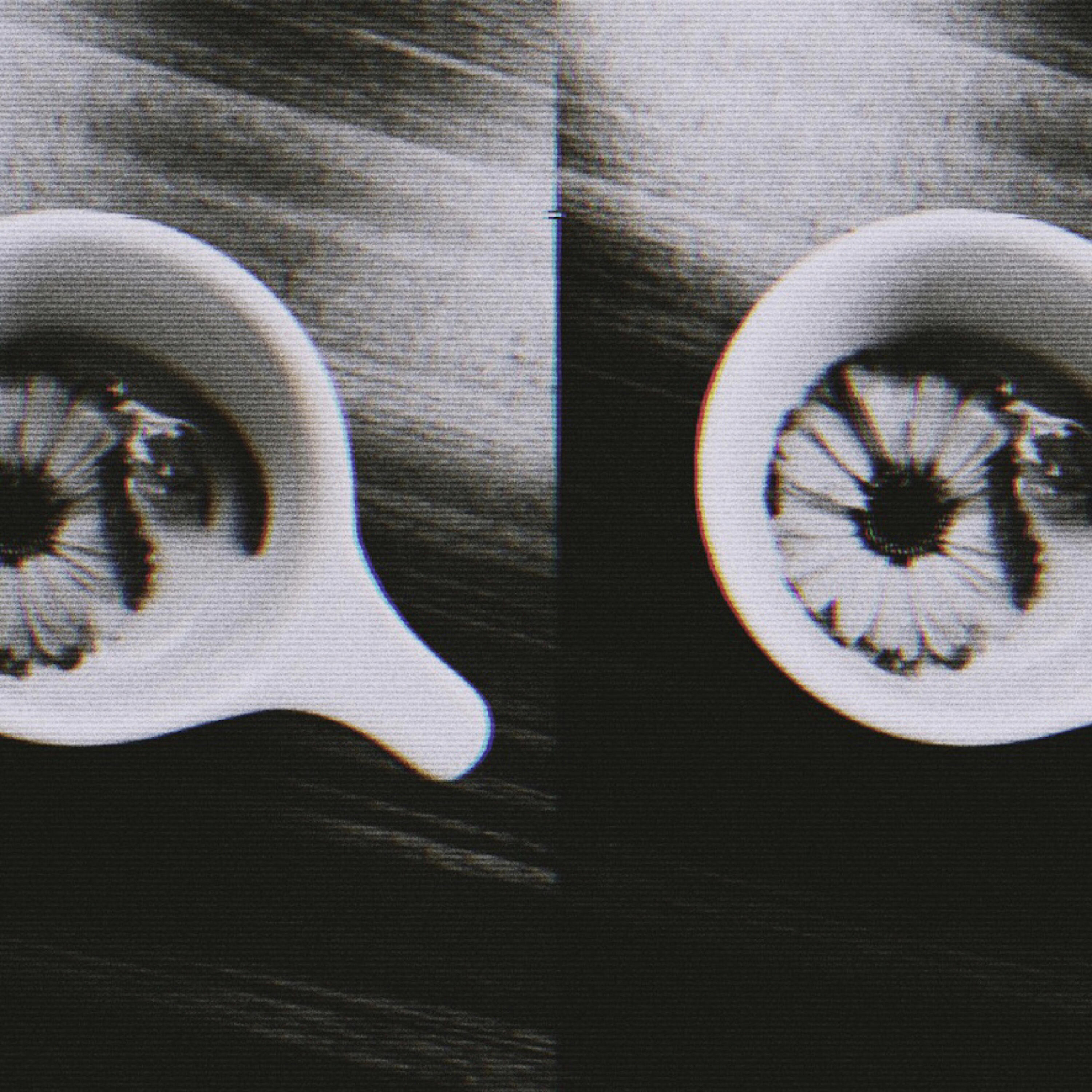signed - coffee