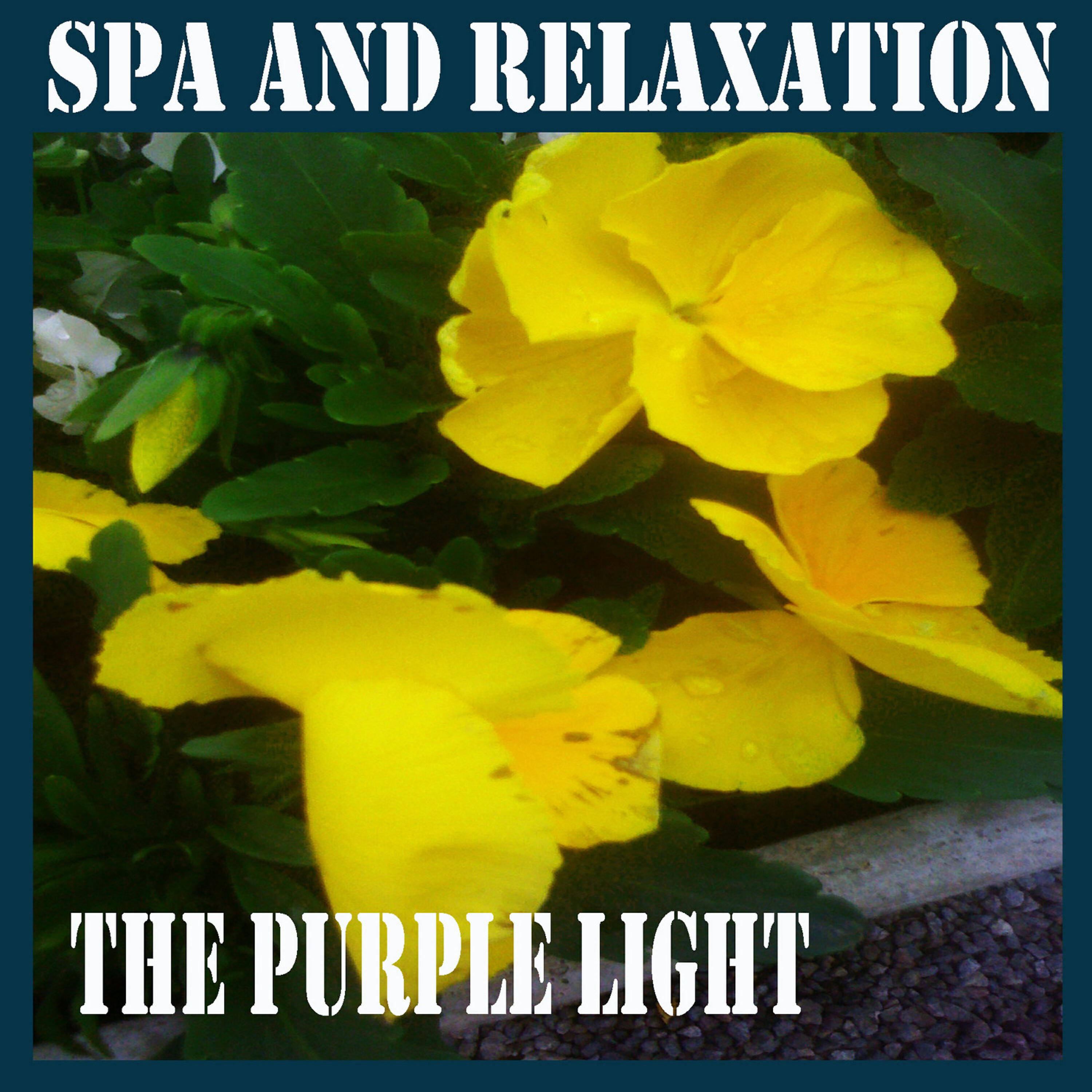 The Purple Light - Mind Body and Soul