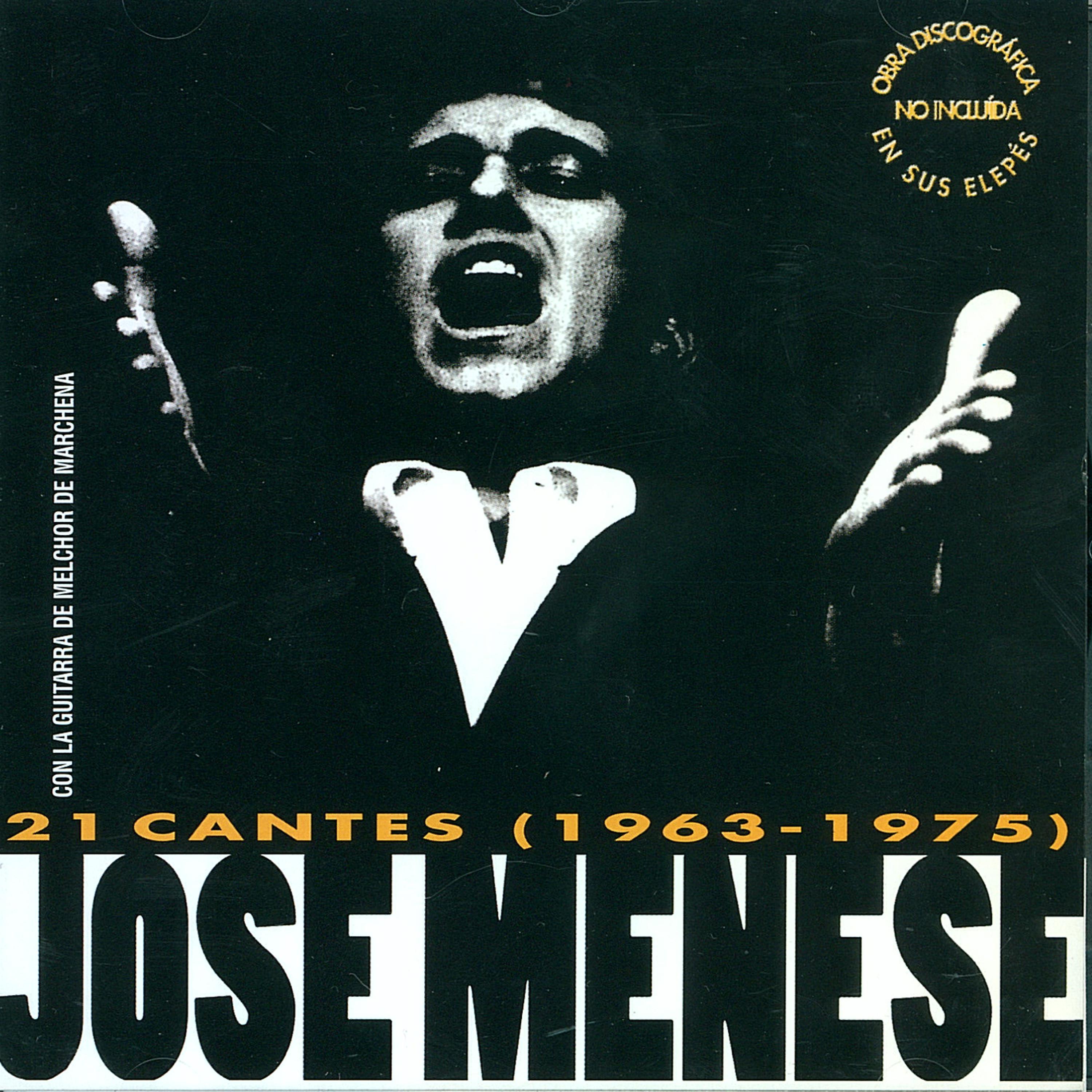 Постер альбома 21 Cantes (1963 - 1975)