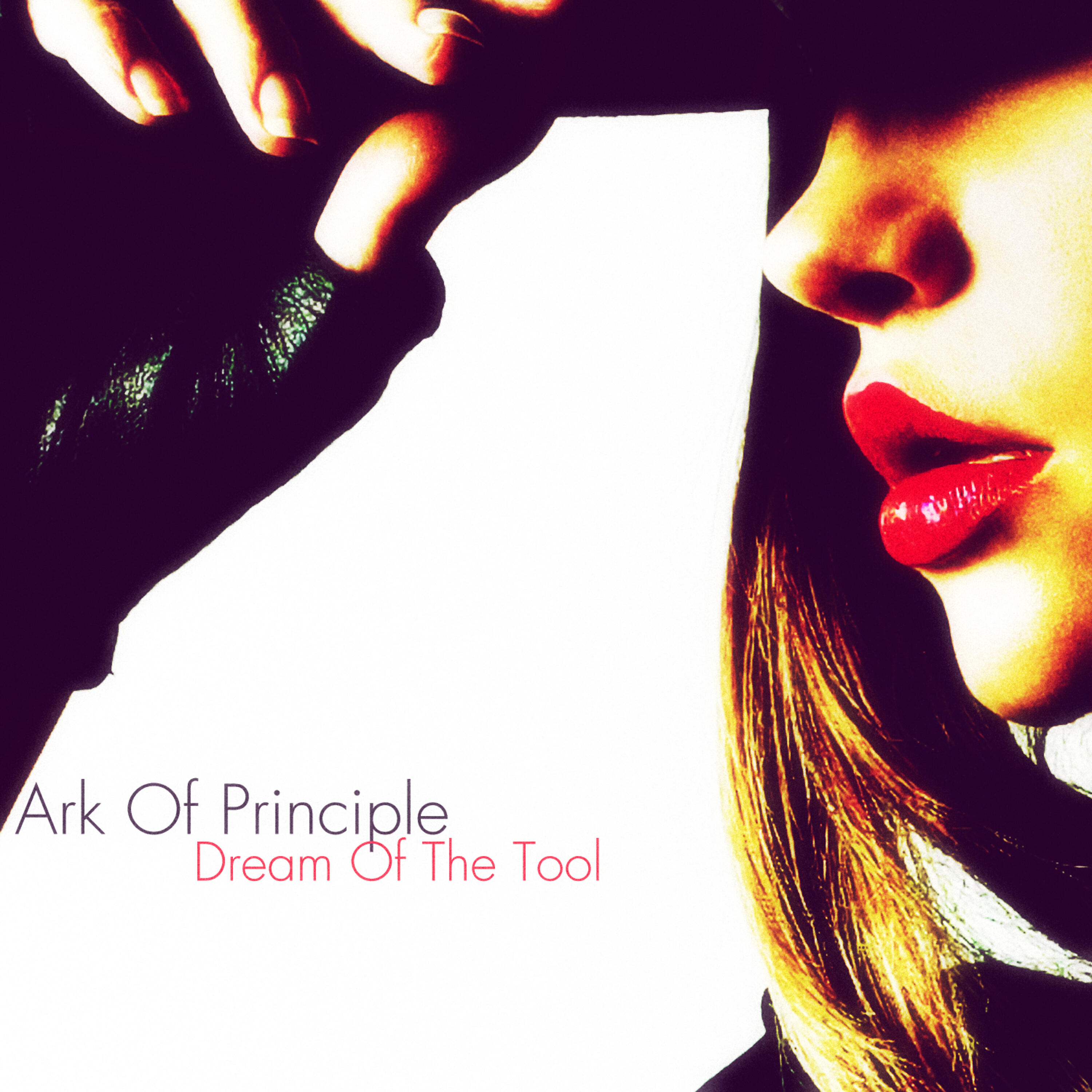 Ark Of Principle - Alike Corrosion
