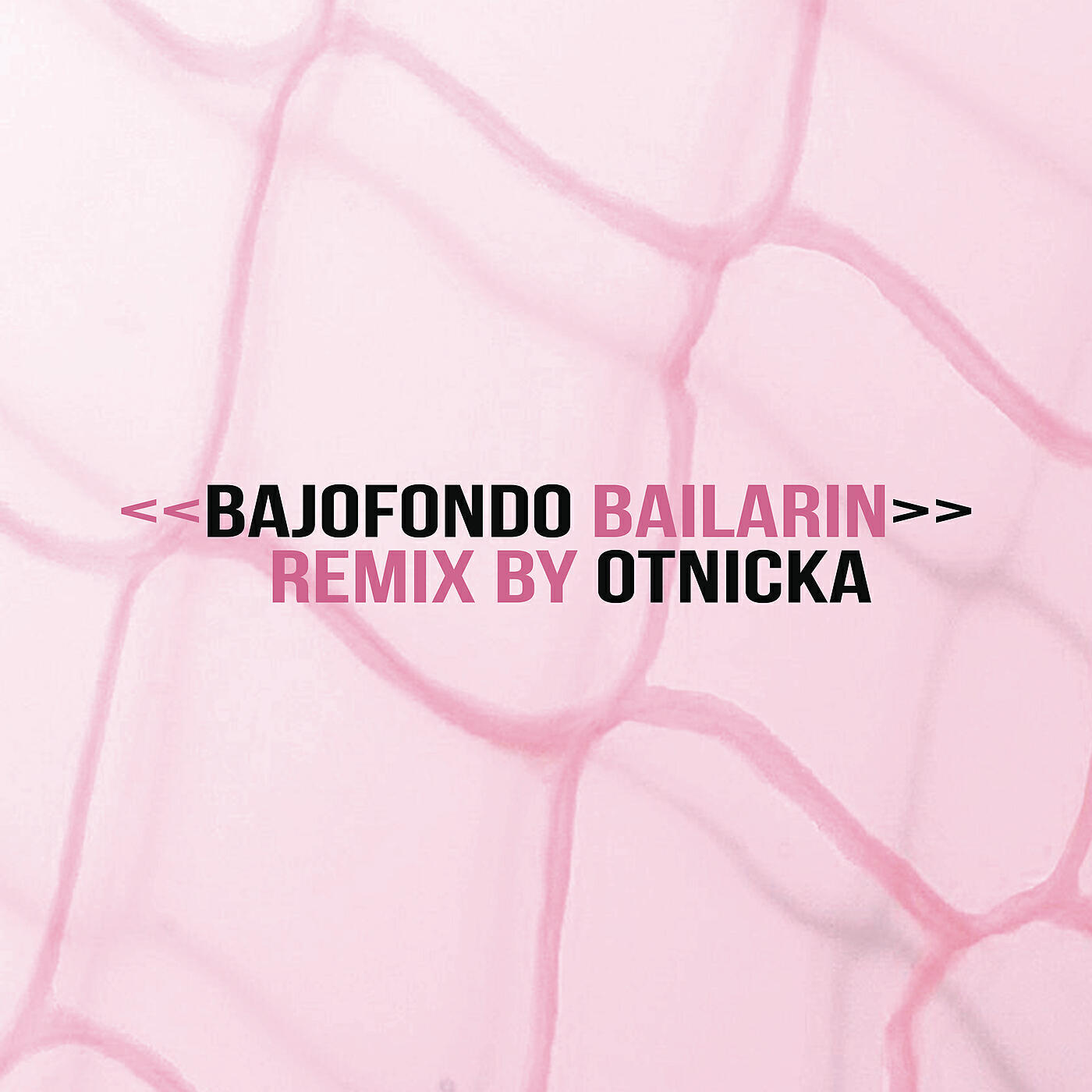 Bajofondo - Bailarín (Otnicka Remix)