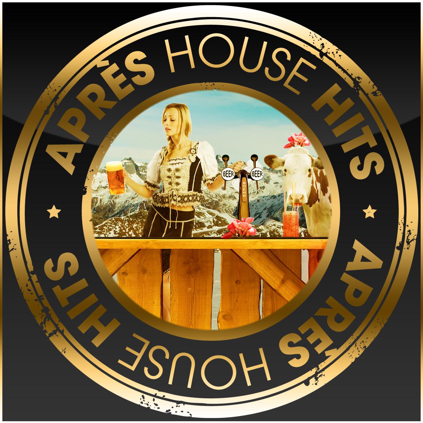 Постер альбома APRES House Hits