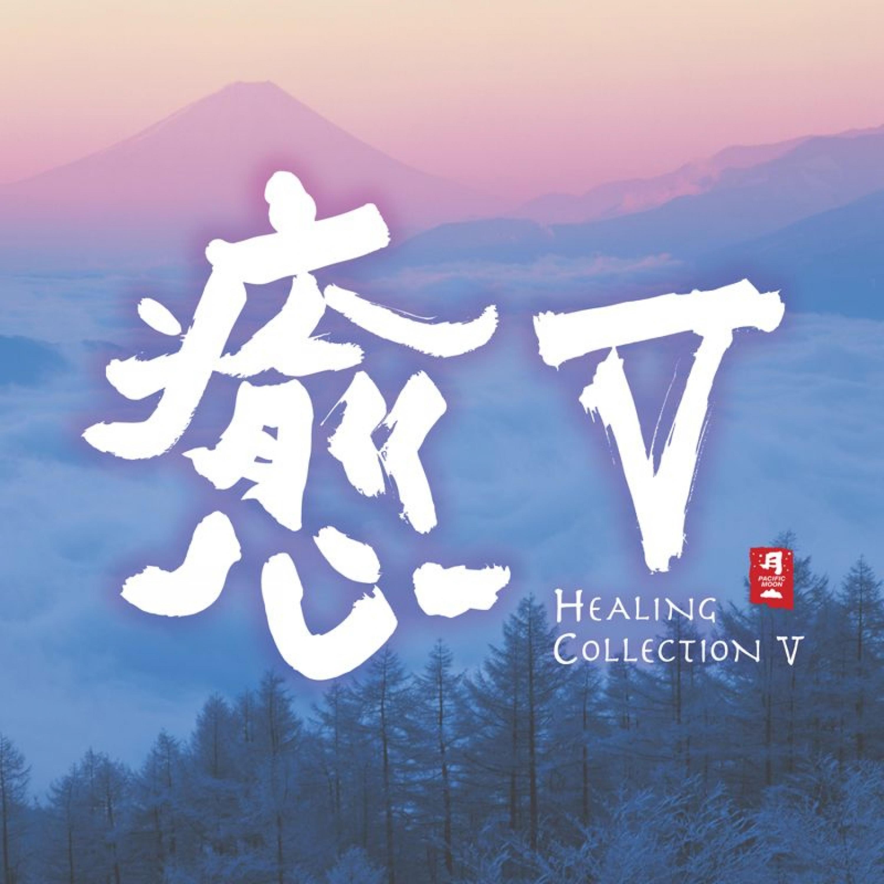 Постер альбома Healing Collection V