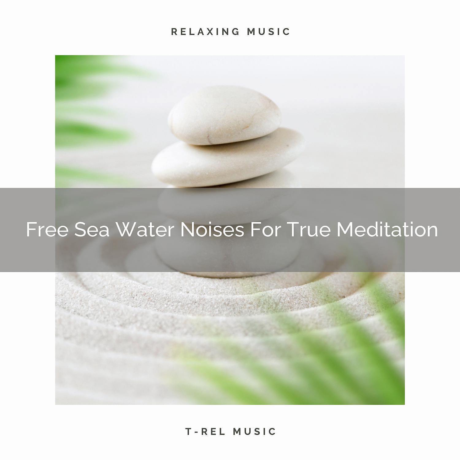 Постер альбома Free Sea Water Noises For True Meditation