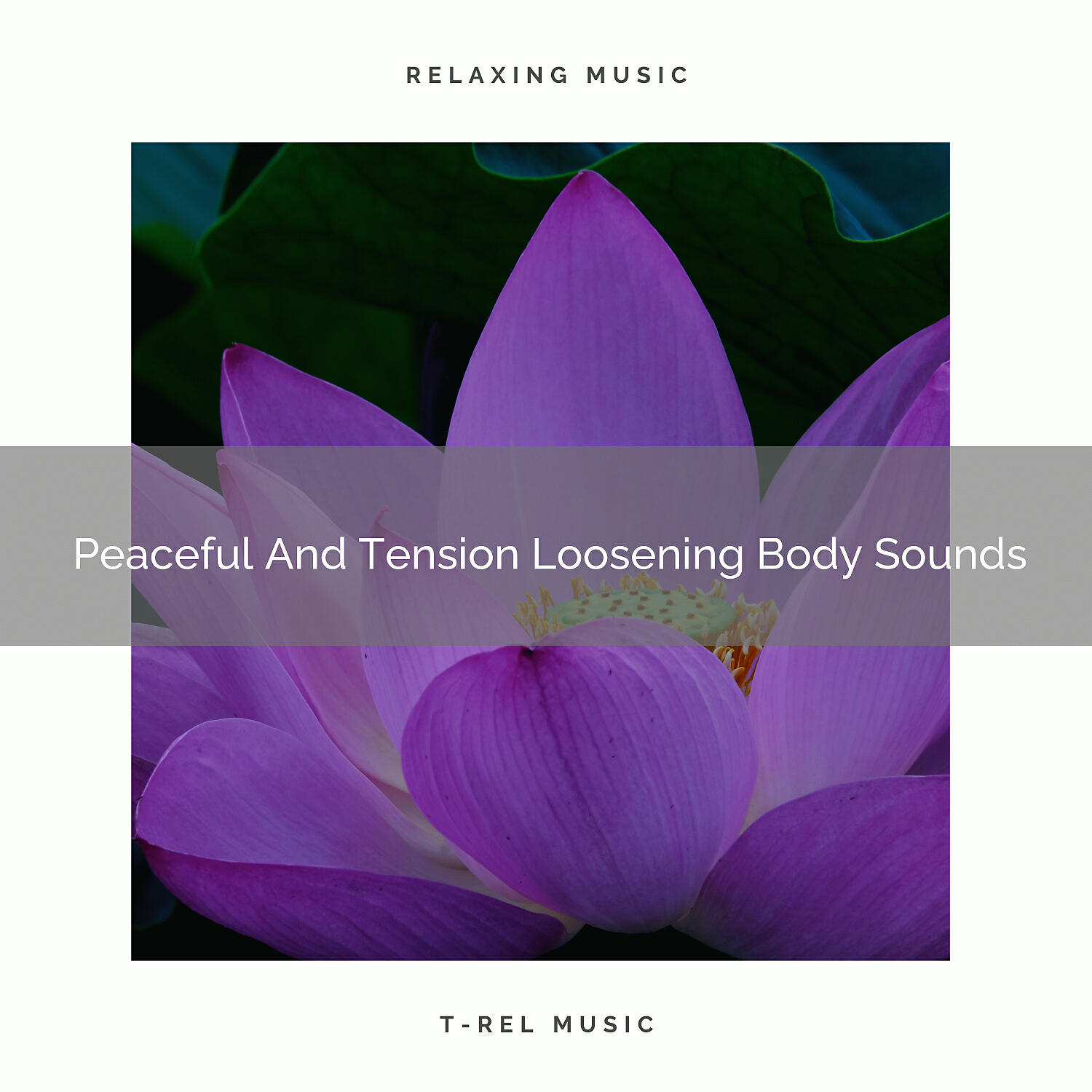 Spiritual Relax - Peaceful And Tension Loosening Body Vibes