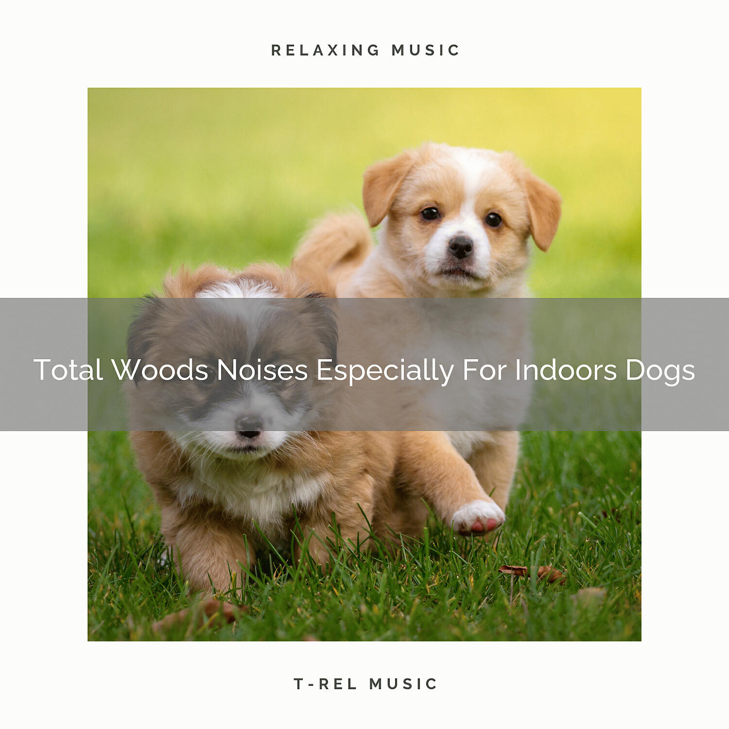 Pets Relax - Calming Mother Earth Noises For Uneasy, Beloved Dogs