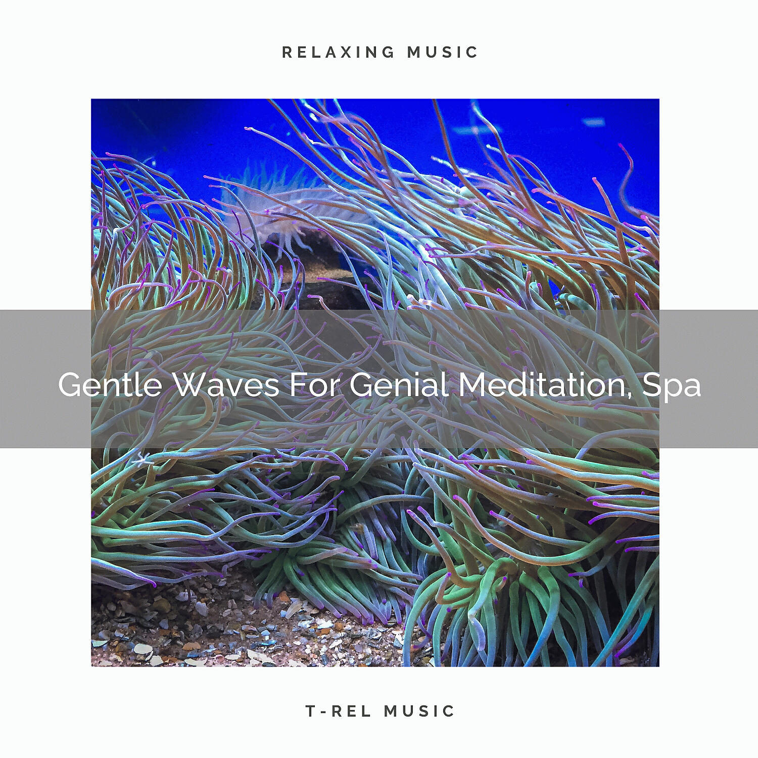 Sanctuary Of Relax - Gentle Waves For Genial Meditation, Spa Tension Ease