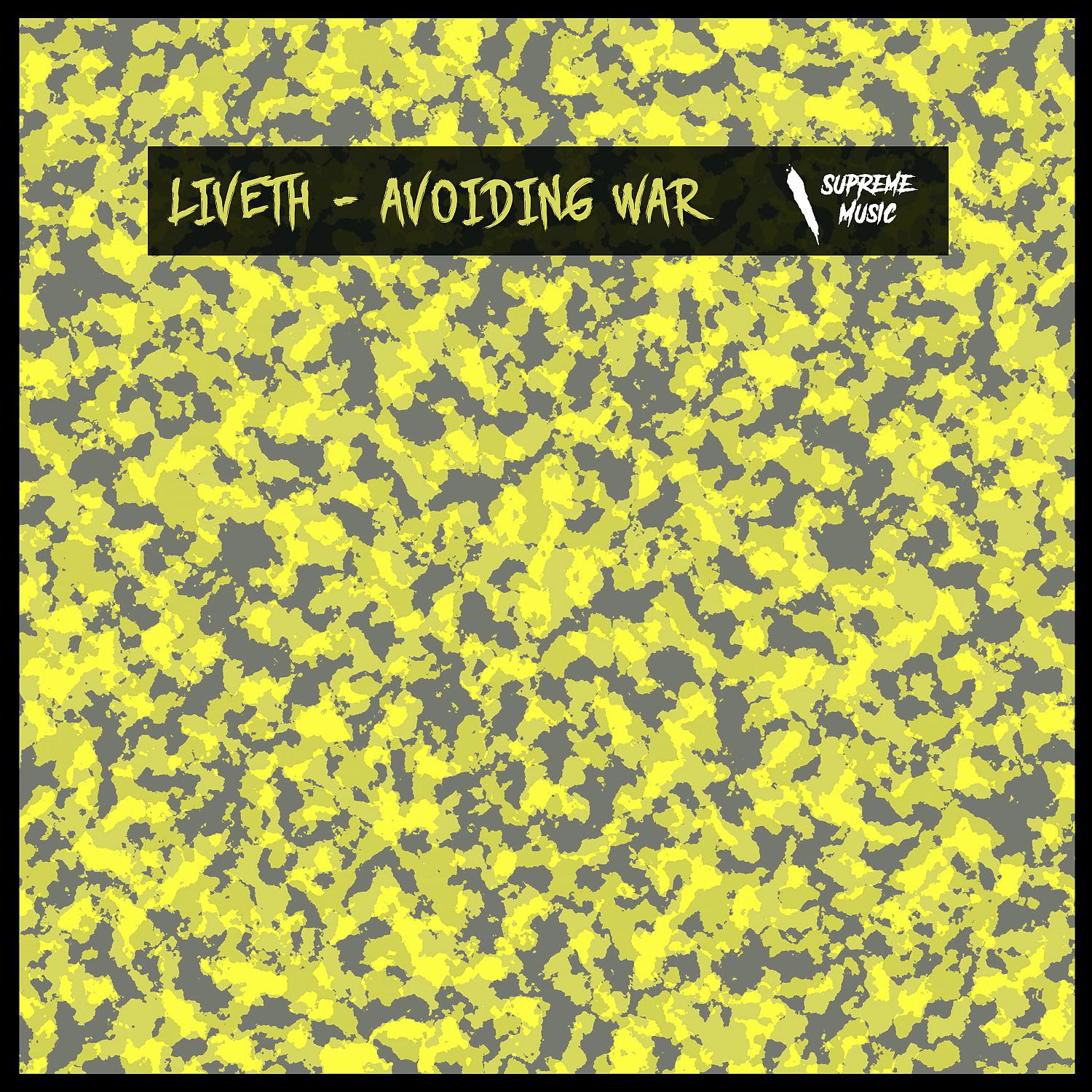 Постер альбома Avoiding War