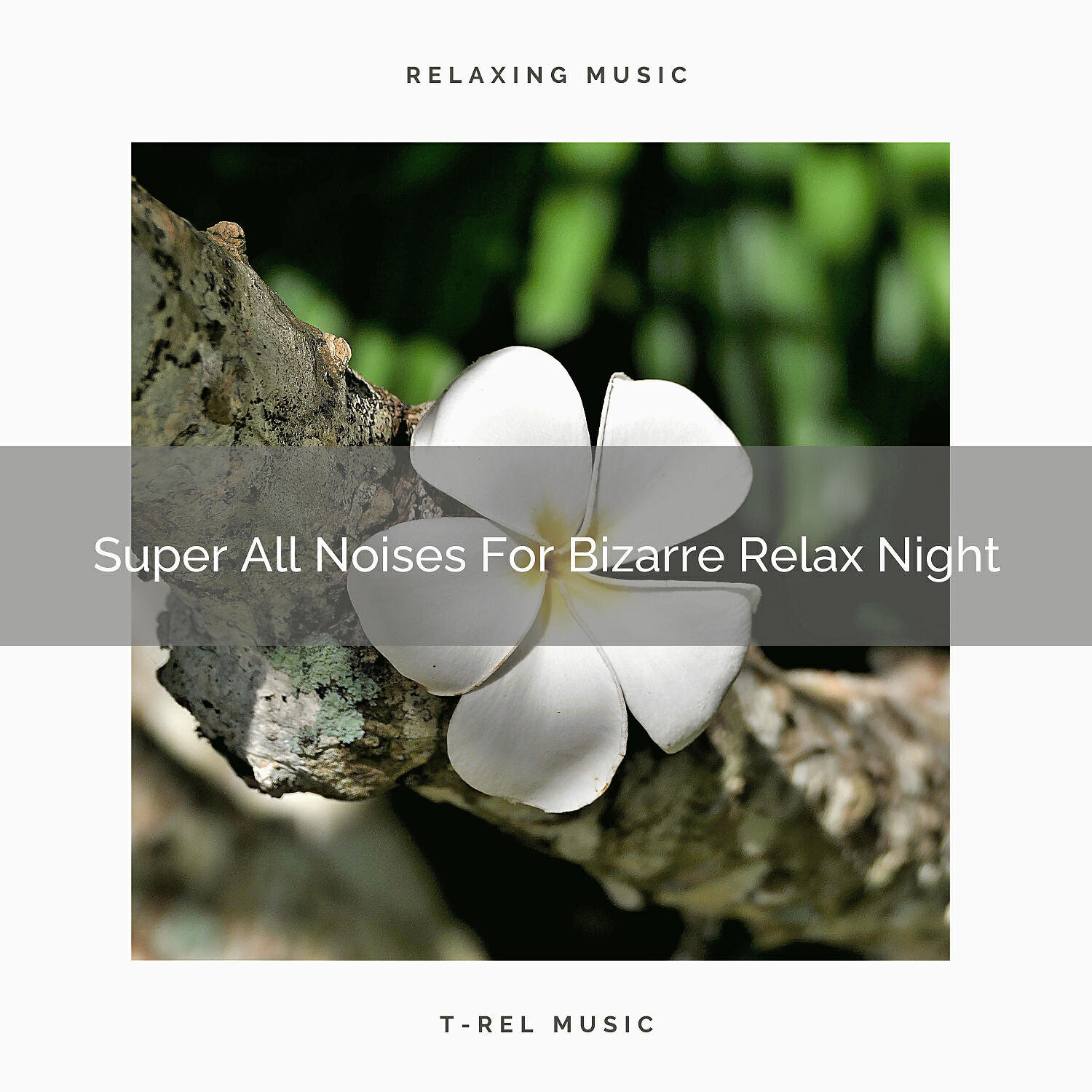 Water Sound Natural White Noise - Calm Noises For Special Relief Dreams