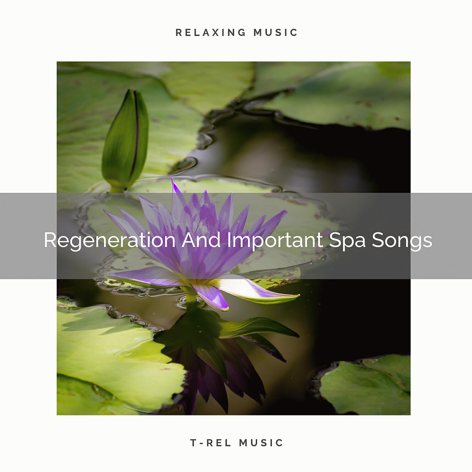 Spiritual Relax - Regeneration And Important Yoga Music