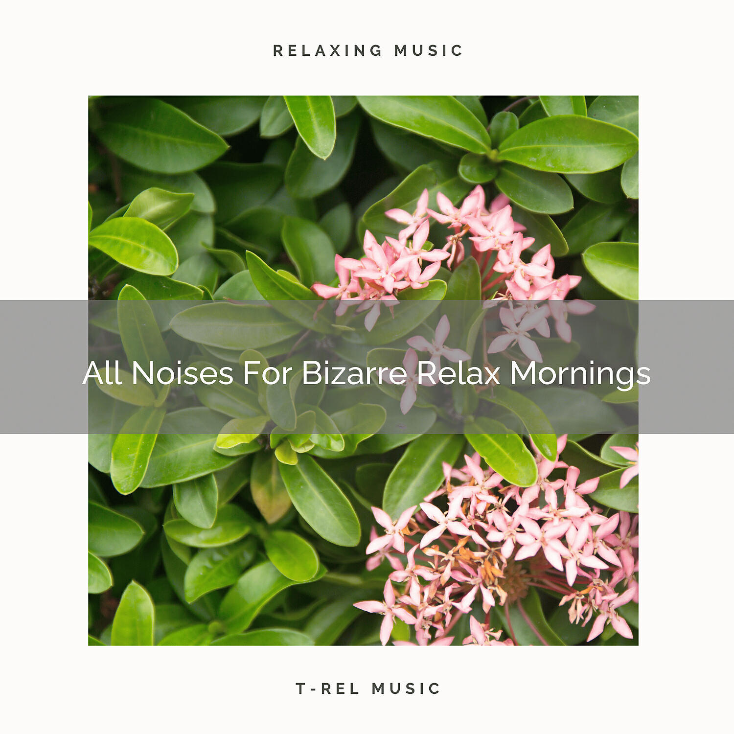Granular Soundscape - Calm White Noise For Bizarre Take It Easy Mornings