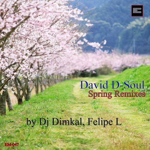 David D-Soul - Spring (DJ Dimkal Deep Touch Mix)