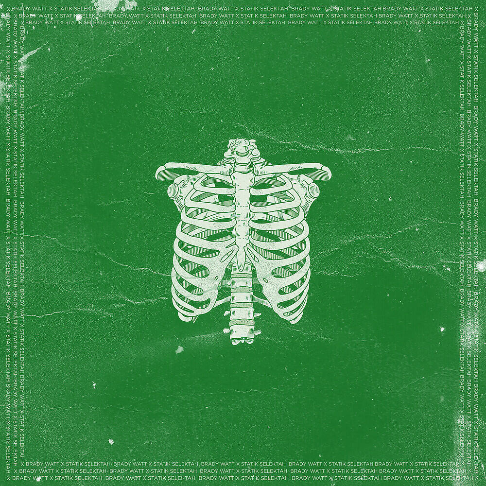 BRADY WATT - Roots Around My Ribcage (Statik Selektah Remix)