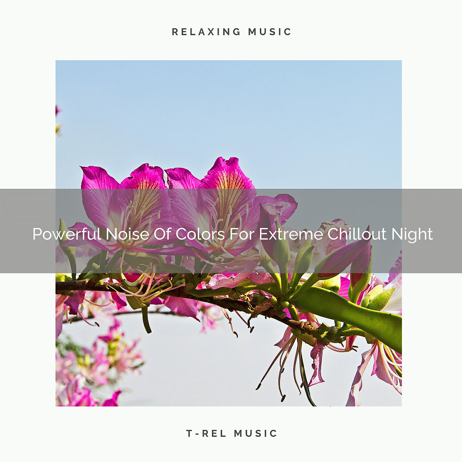 White Noise Healing Power - Noises For Bizarre Chillout Night