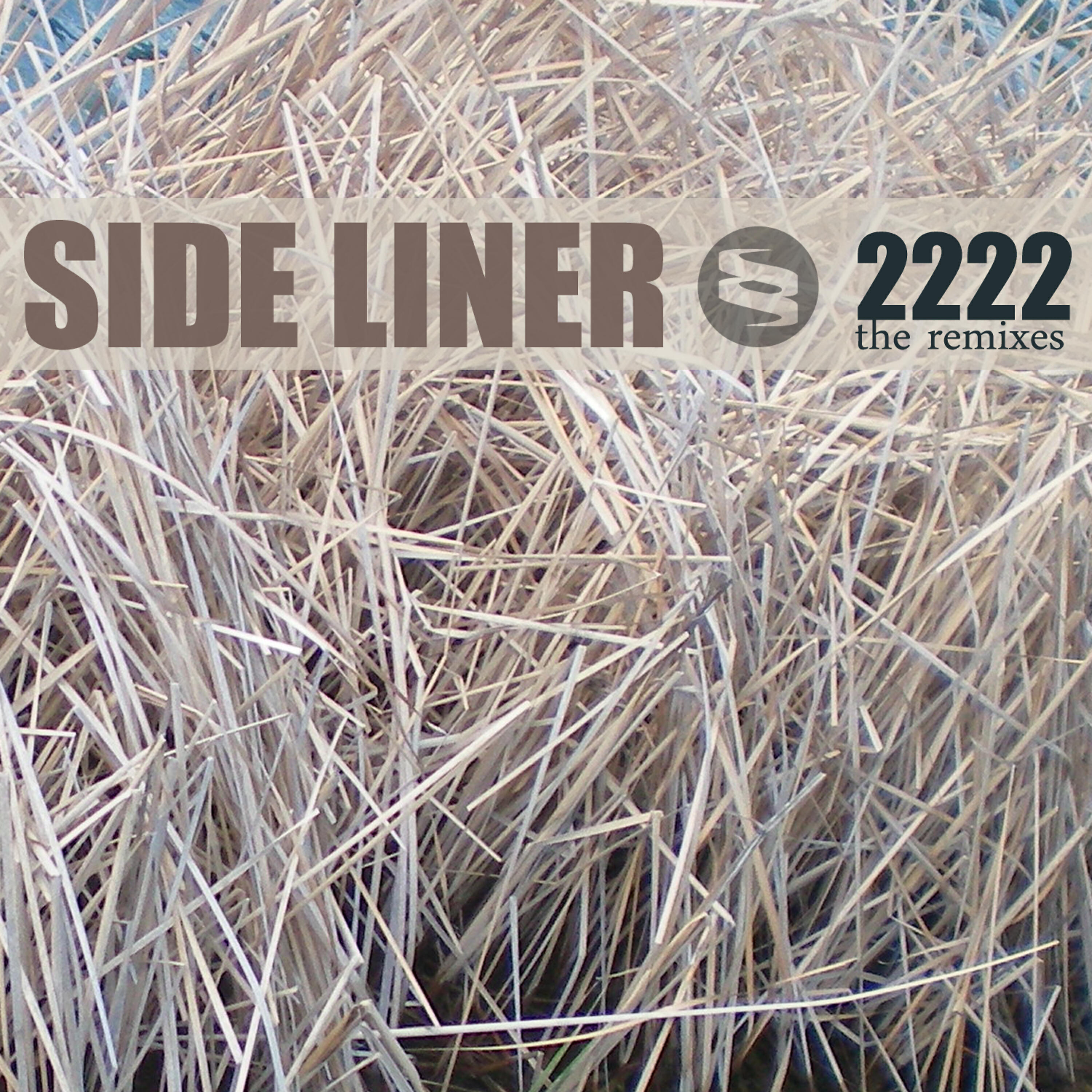 Side Liner - 2222 (Hesius Dome Remix)