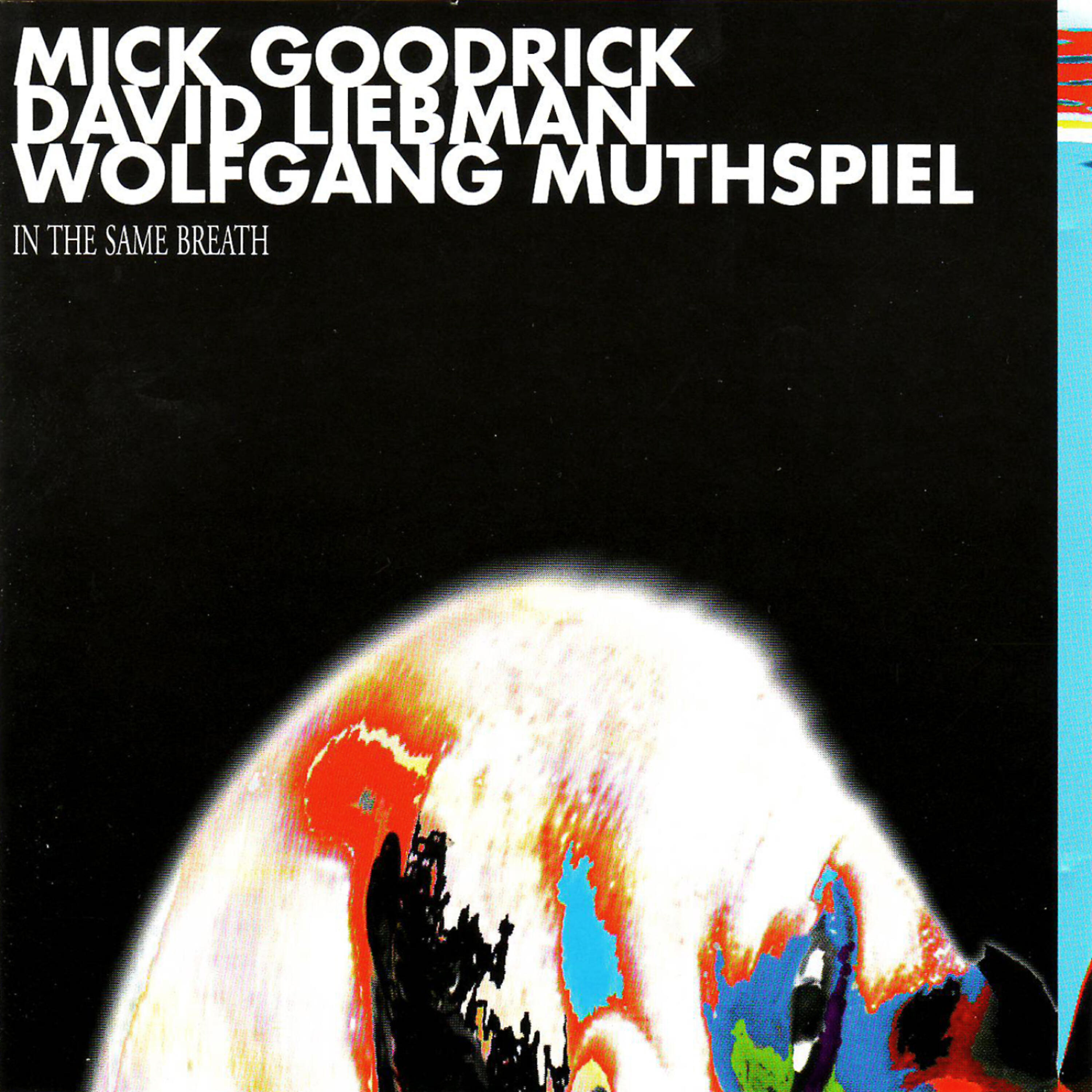 Mick Goodrick - Visiones