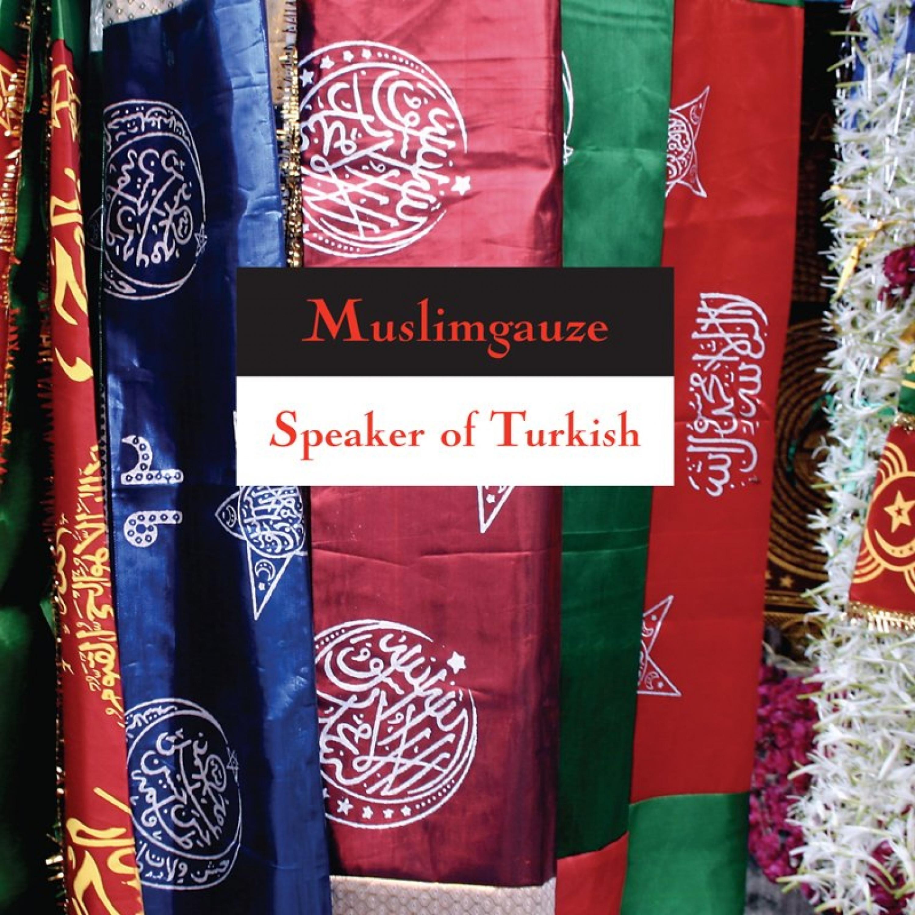 Постер альбома Speaker of Turkish