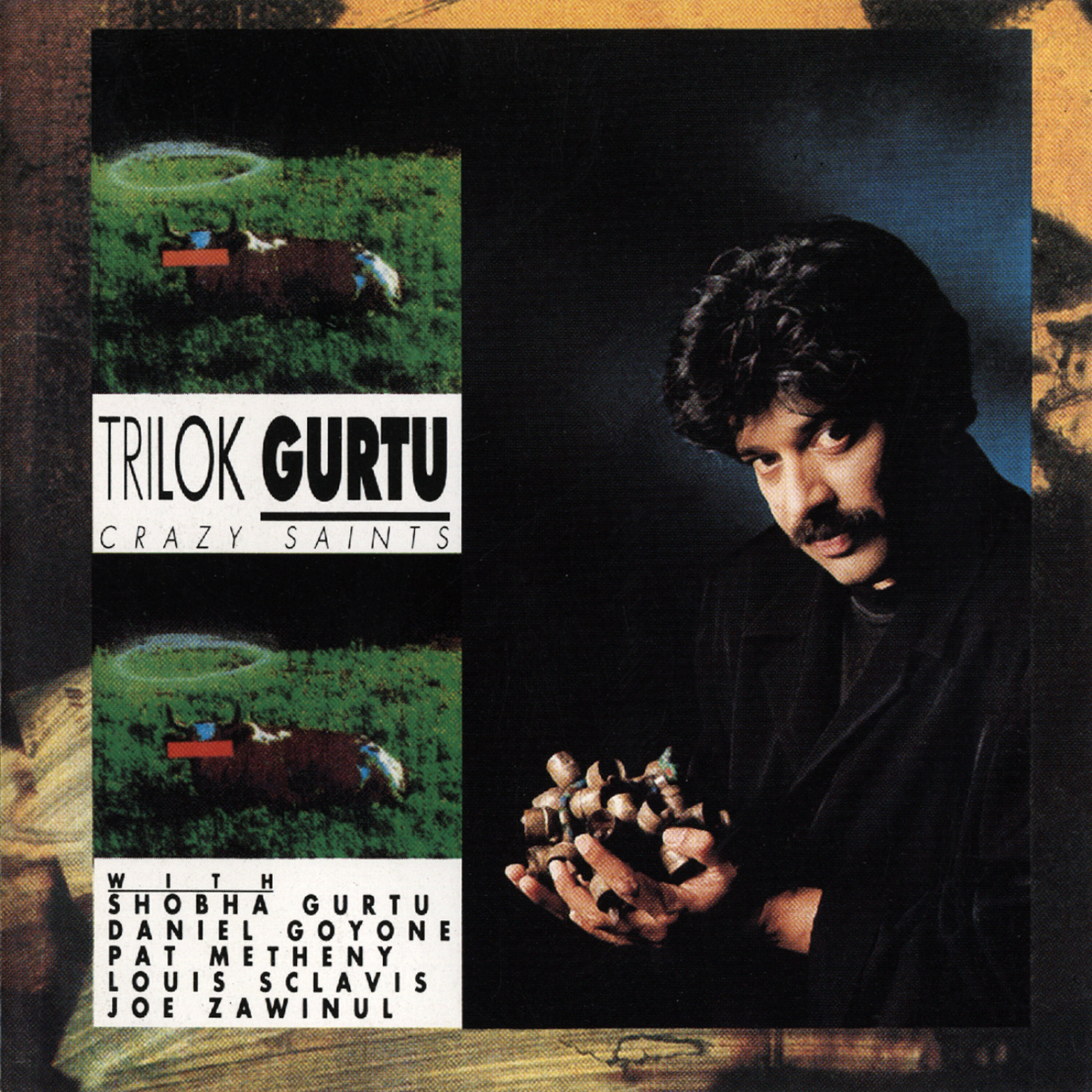 Trilok Gurtu - Blessing In Disguise