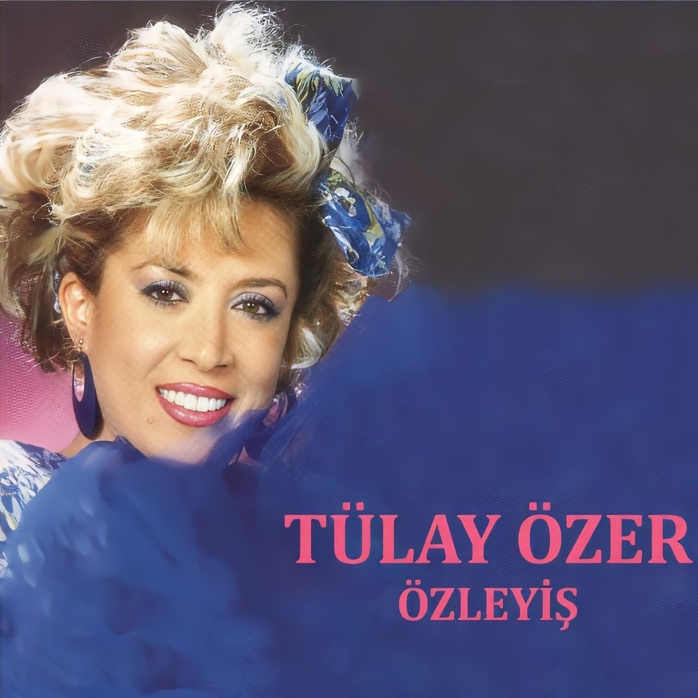 Постер альбома Özleyiş