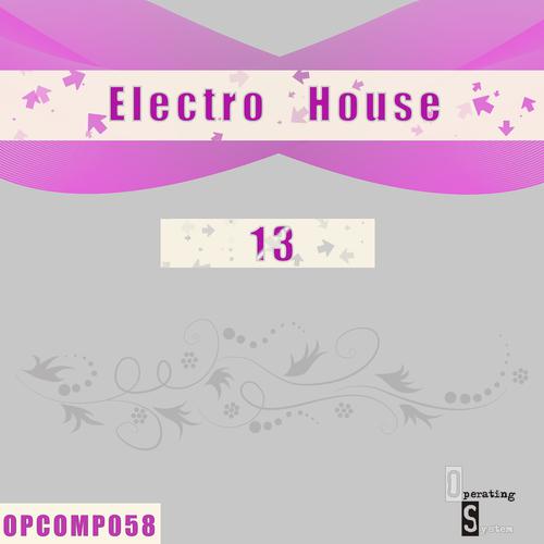 Постер альбома Electro House 13