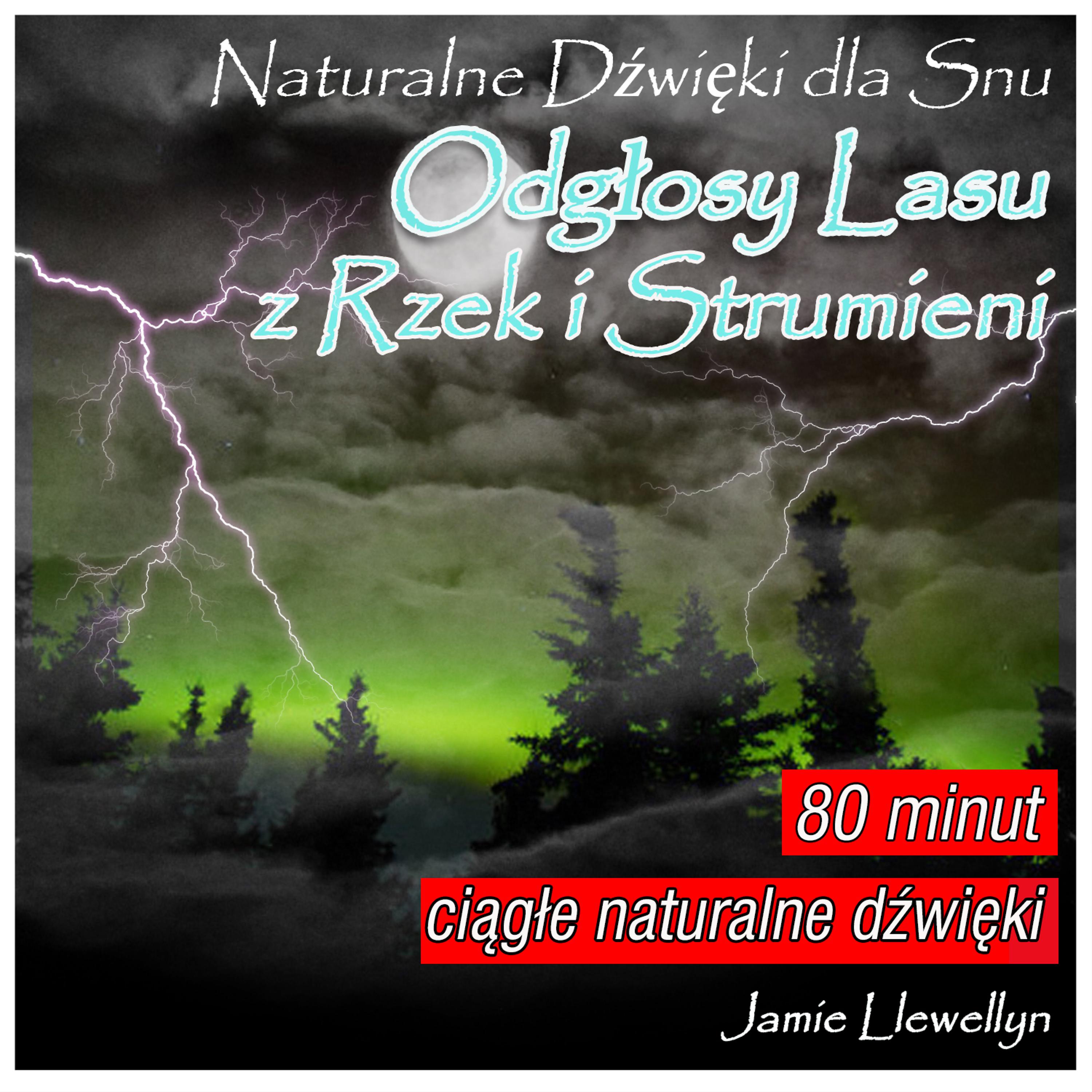 Постер альбома Naturalne Dźwięki dla Snu: Odgłosy Lasu z Rzek i Strumieni