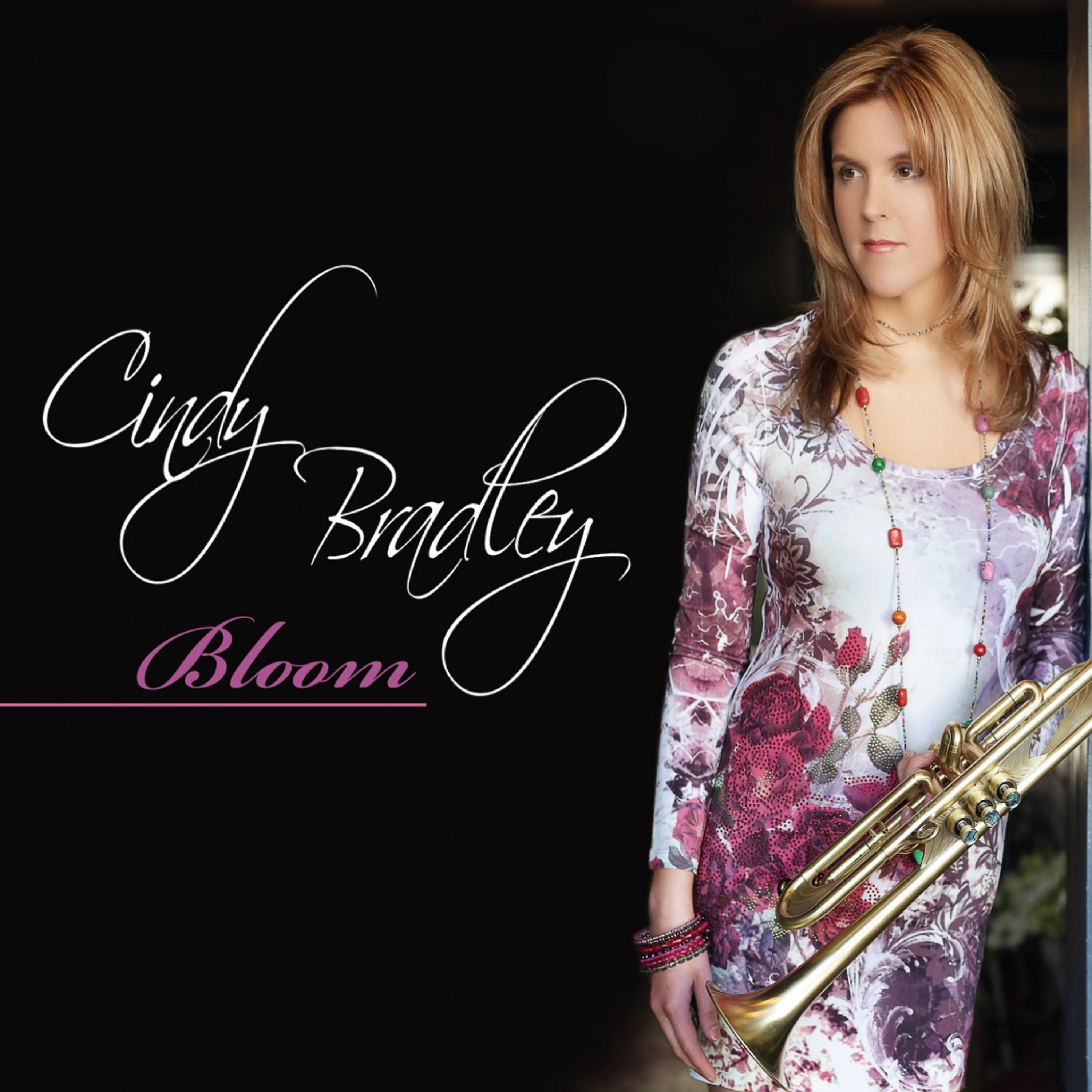 Cindy Bradley - Swing Set