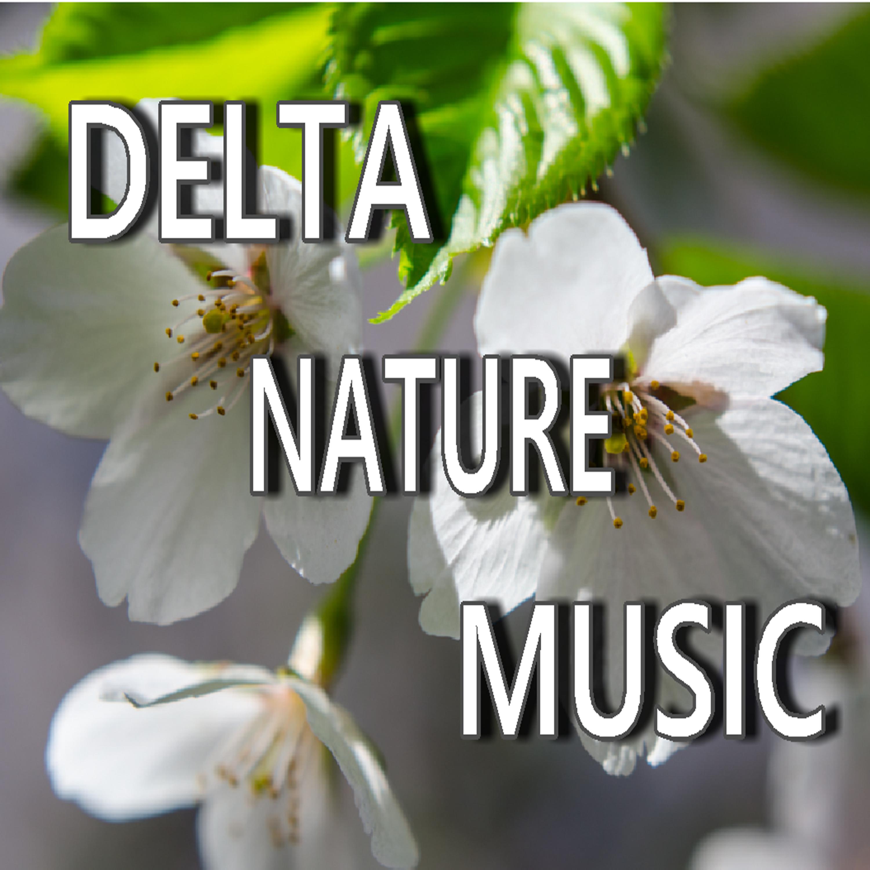 Постер альбома Delta Nature Music