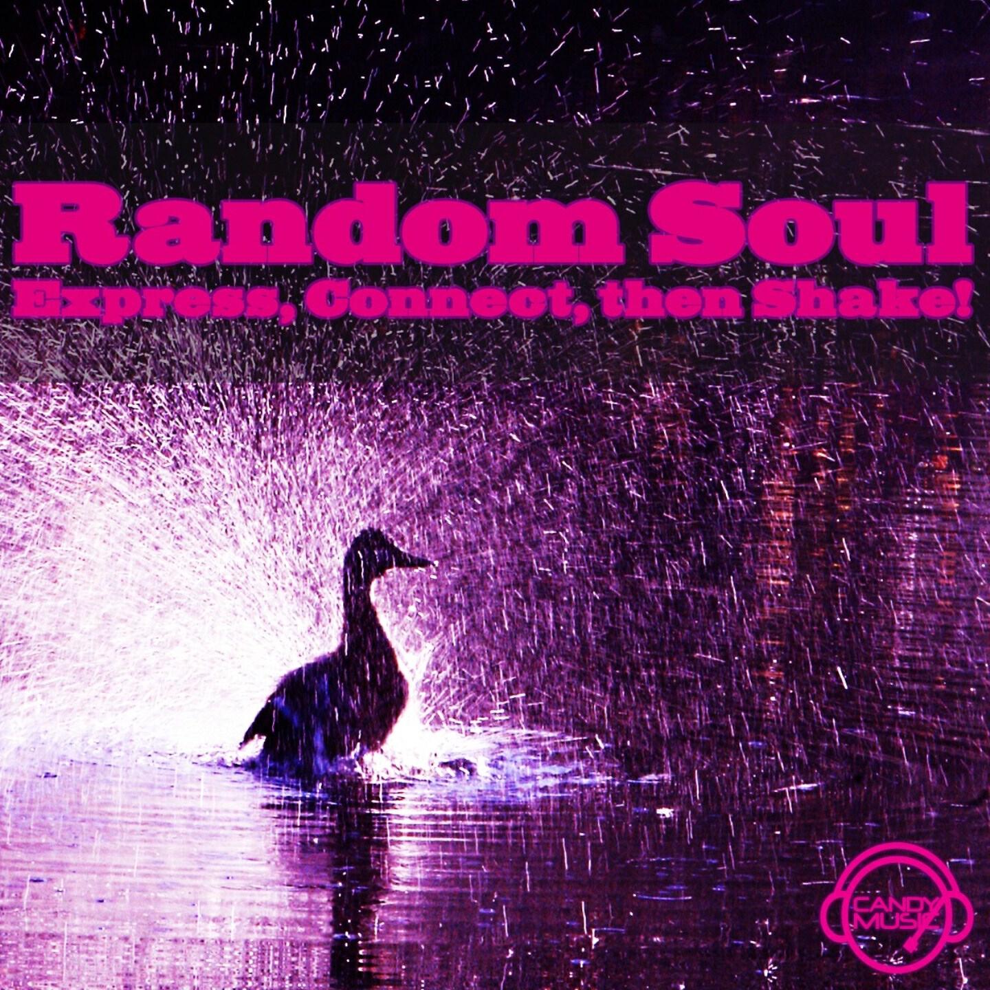 Random Soul - Connect With It
