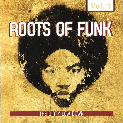 Постер альбома Roots of Funk, Vol. 7