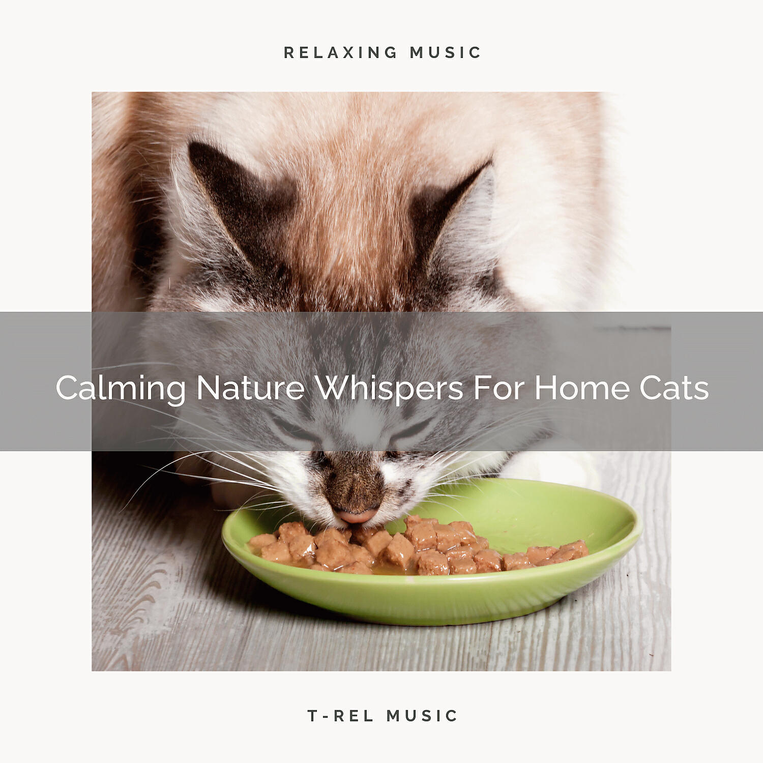 Cats Music Cradle - Relaxing Wind Whispers For Cats