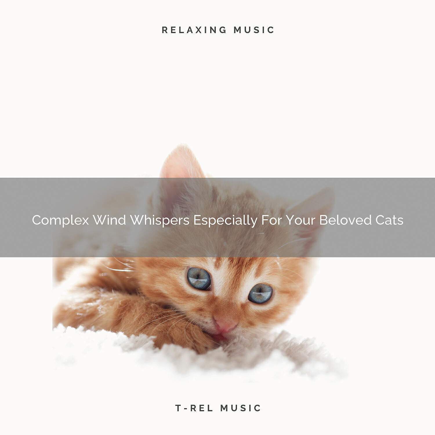 Cats Music Cradle - Stress Relieving Weather Noises For Your Beloved Cats