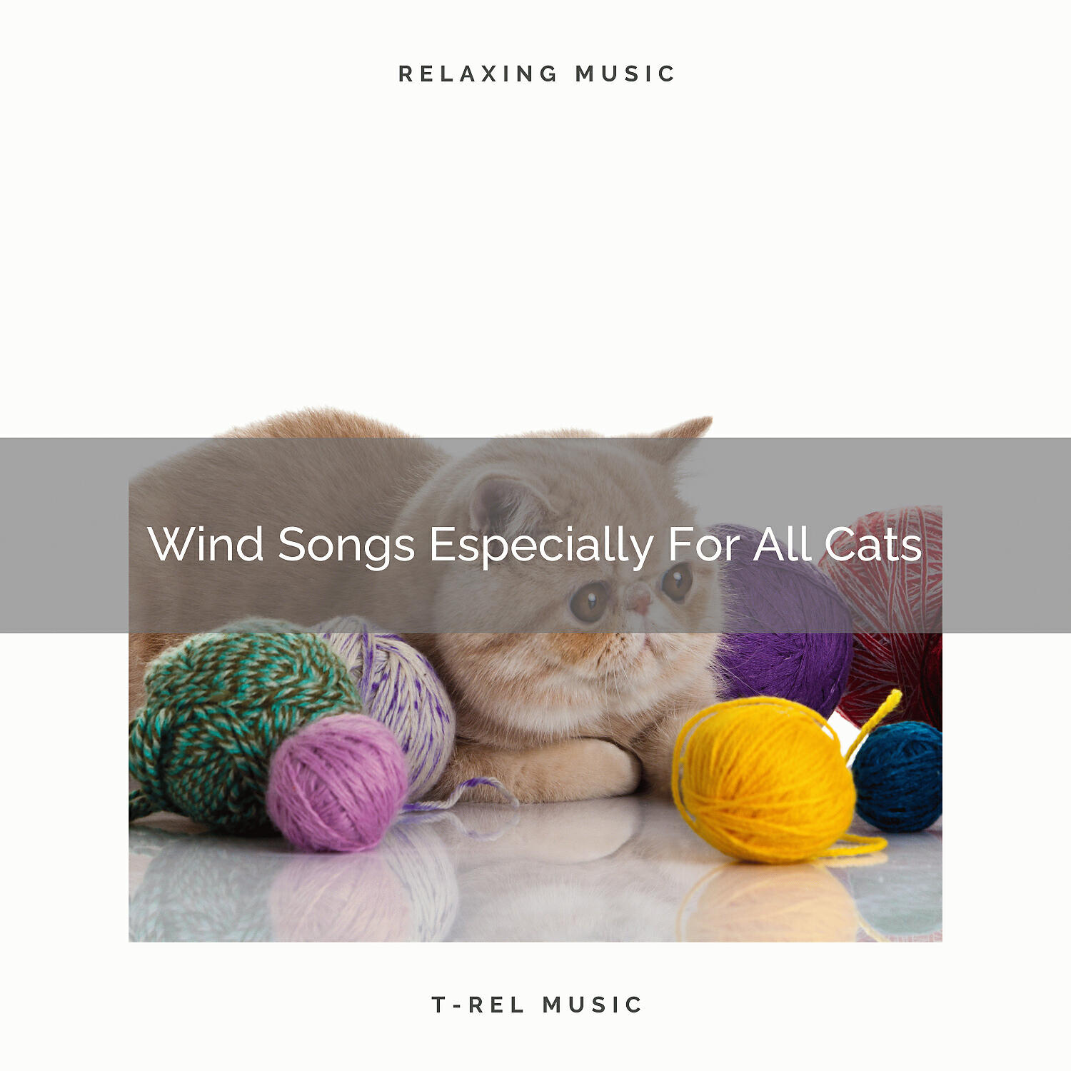 Cats Music Cradle - Relax Your Good Cat With Beautiful Music