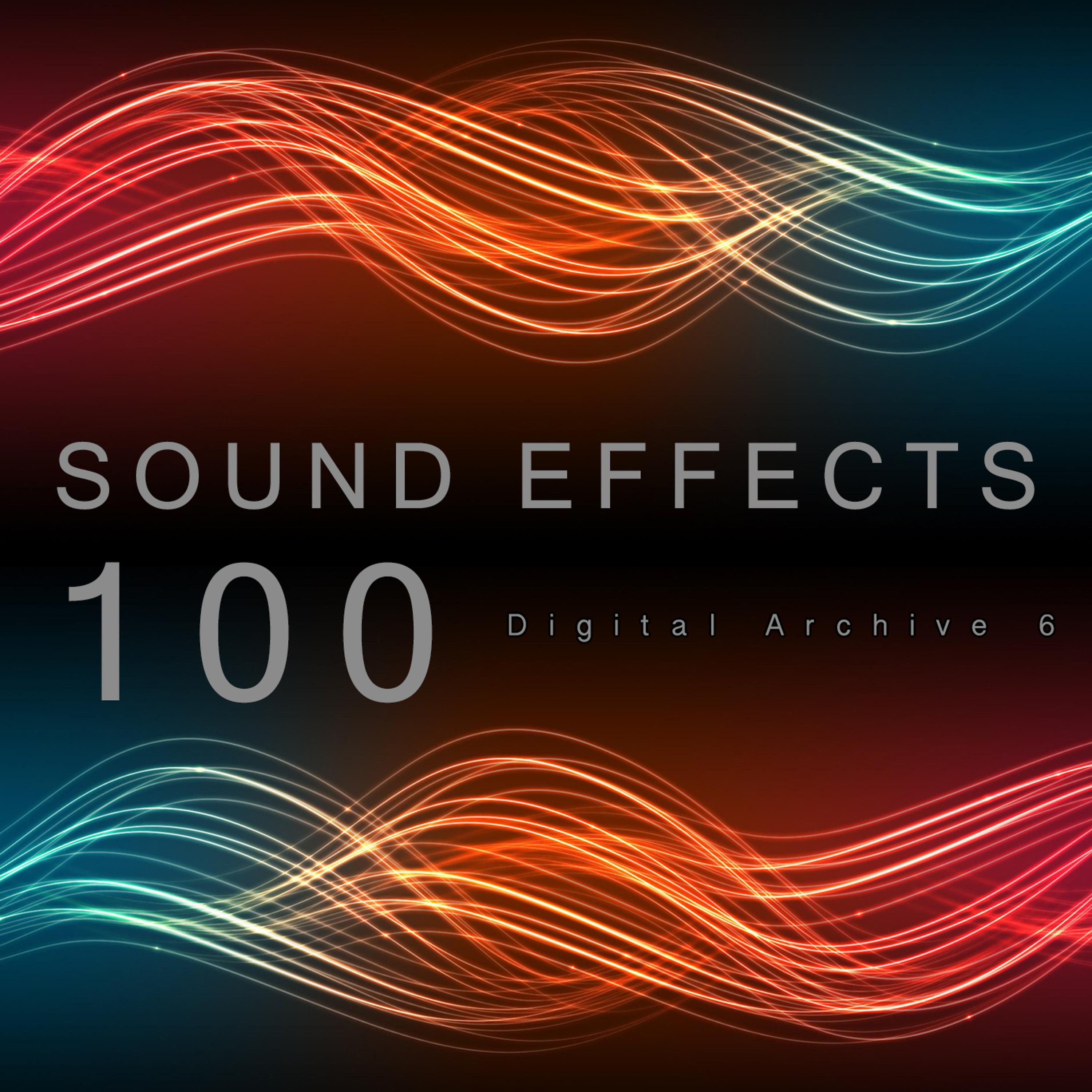 The Digital Sound Effects Group - Cray Cray Sound Effect 4