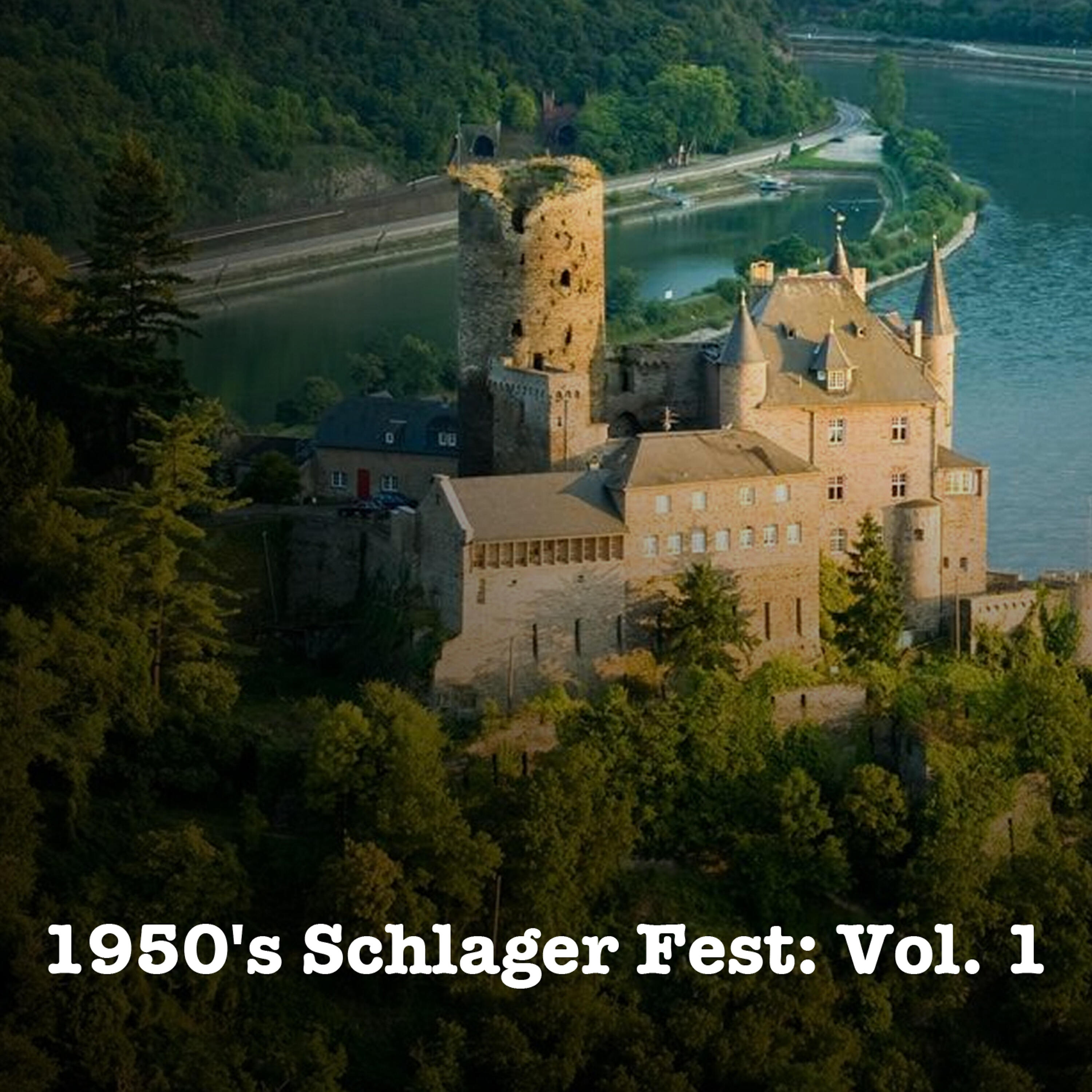 Erwin Halletz - Du Schwarzer Zigeuner