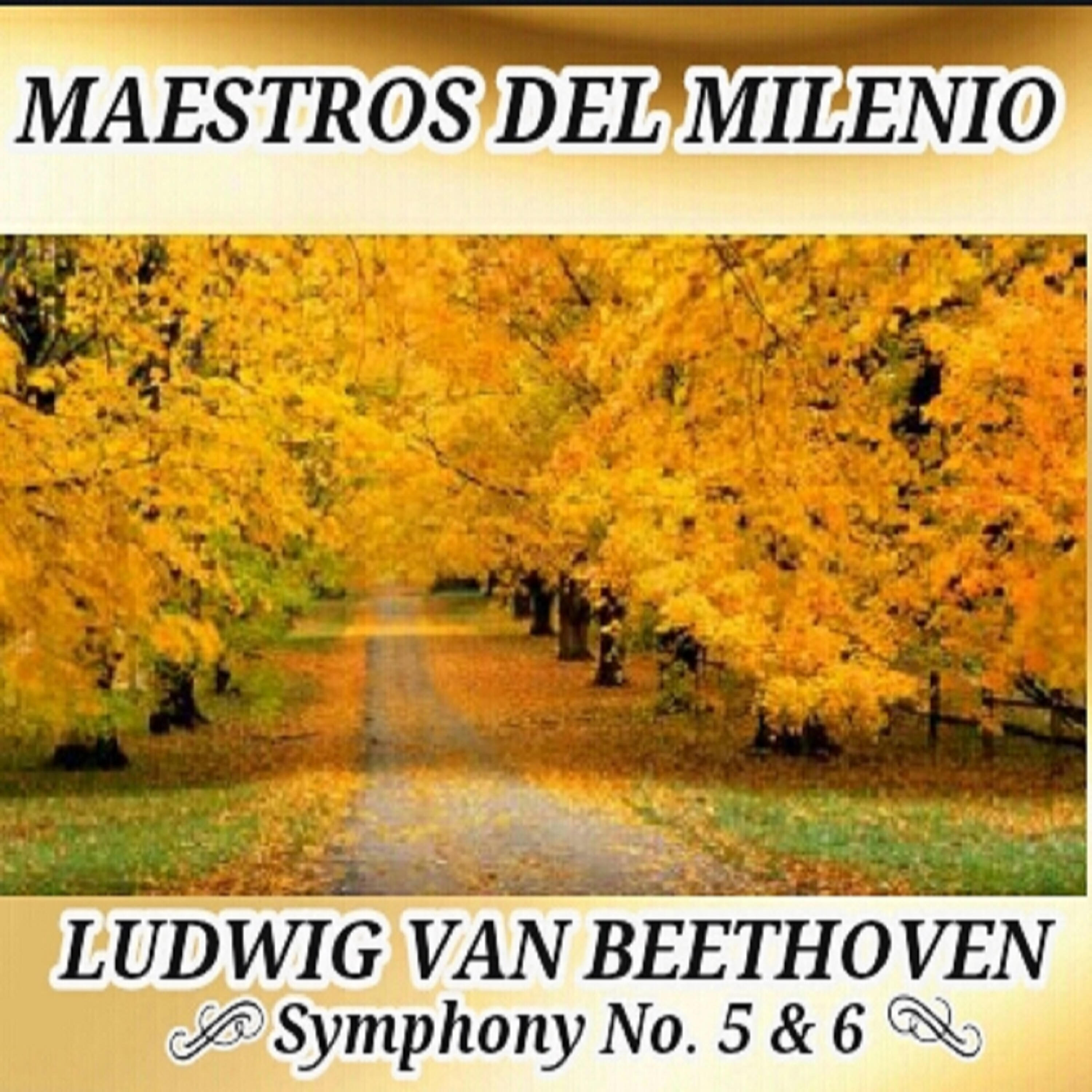 Radio Symphony Orchestra Ljubljana - Symphony No. 5 in C Minor, Op. 67: I. Allegro con brio