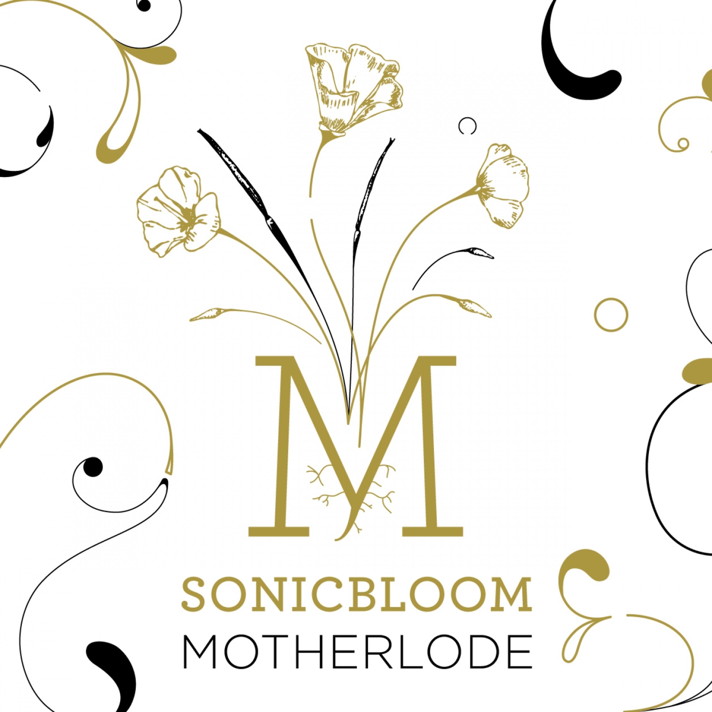 Постер альбома Motherlode
