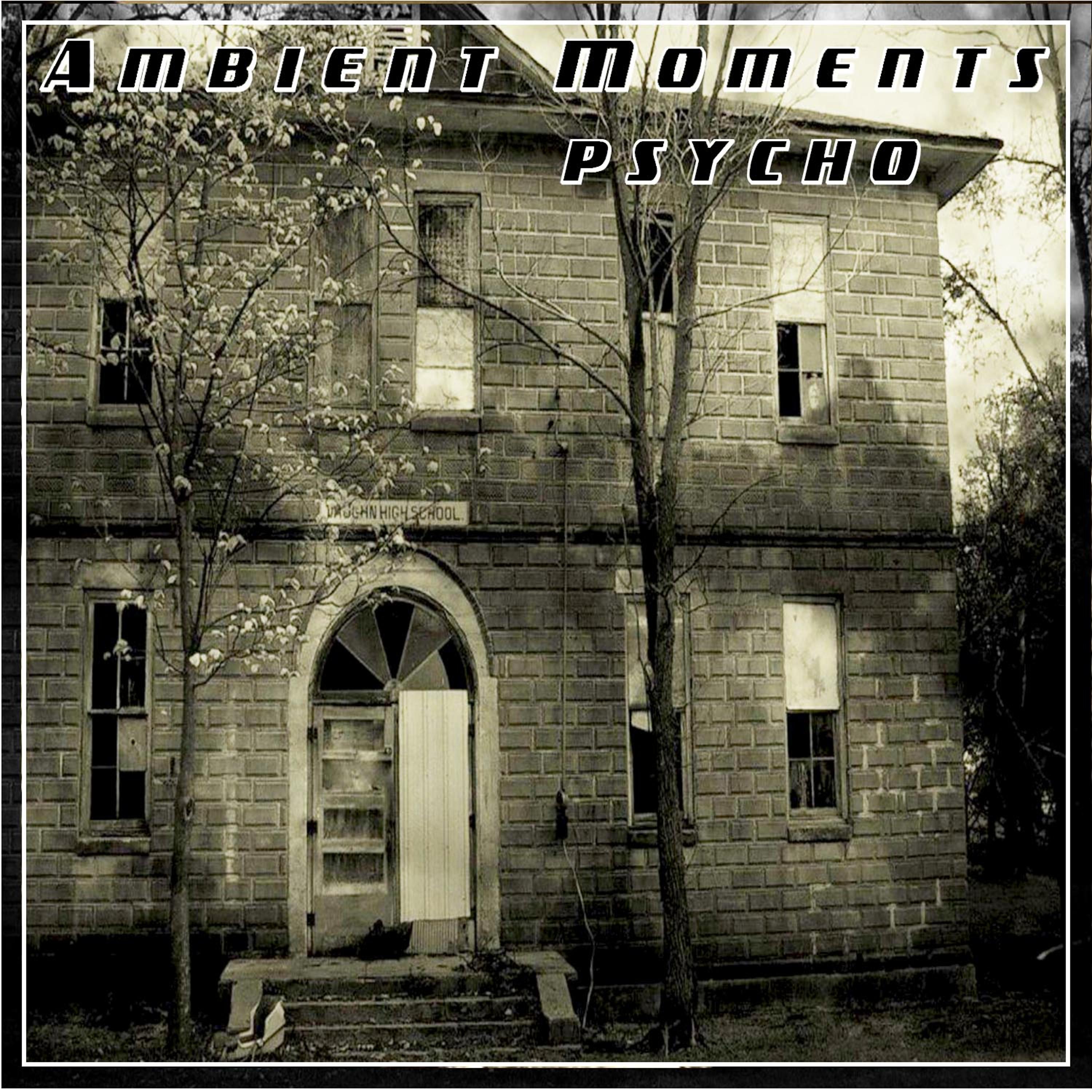 Постер альбома Ambient Moments: Psycho