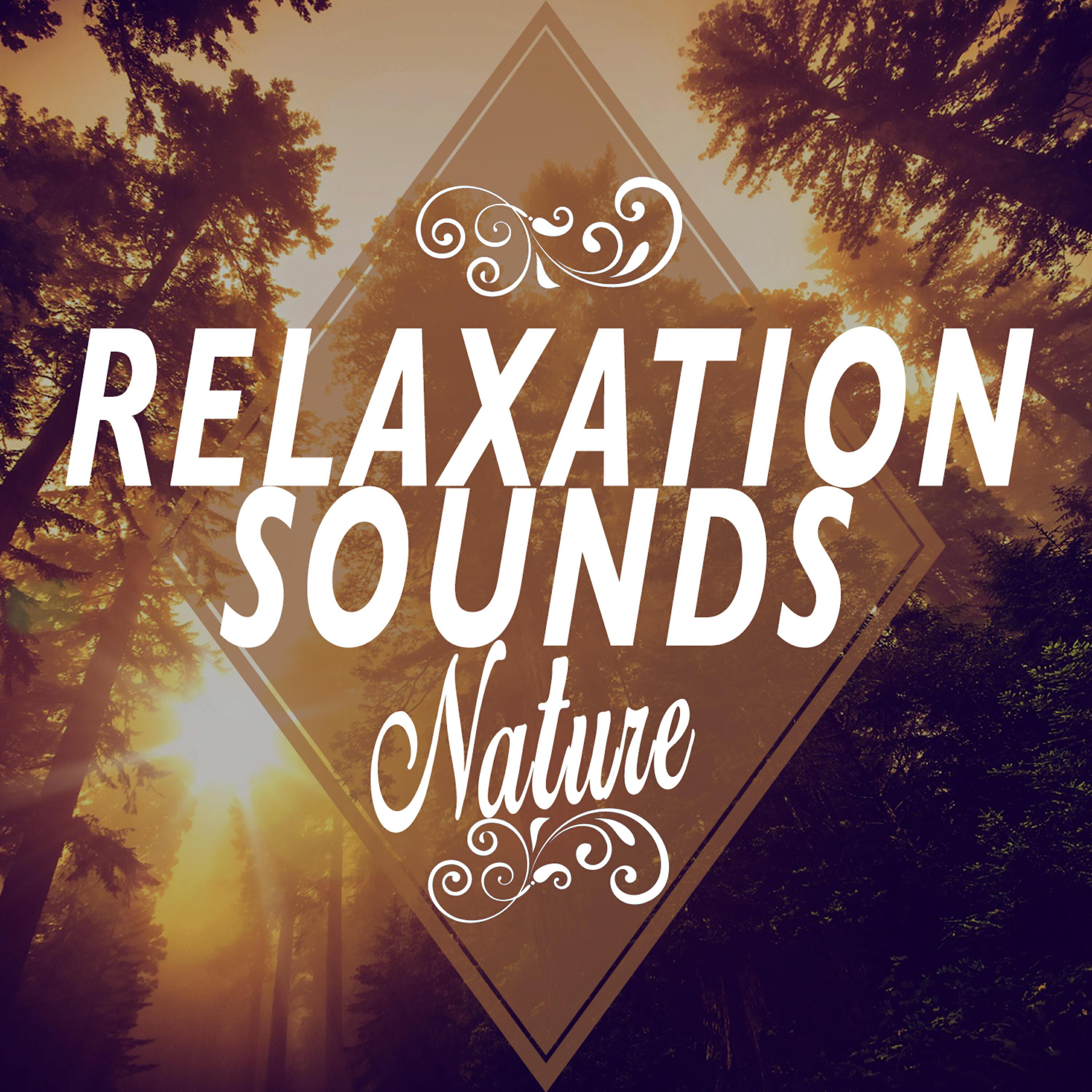 Relaxing - Brooks and Beaks