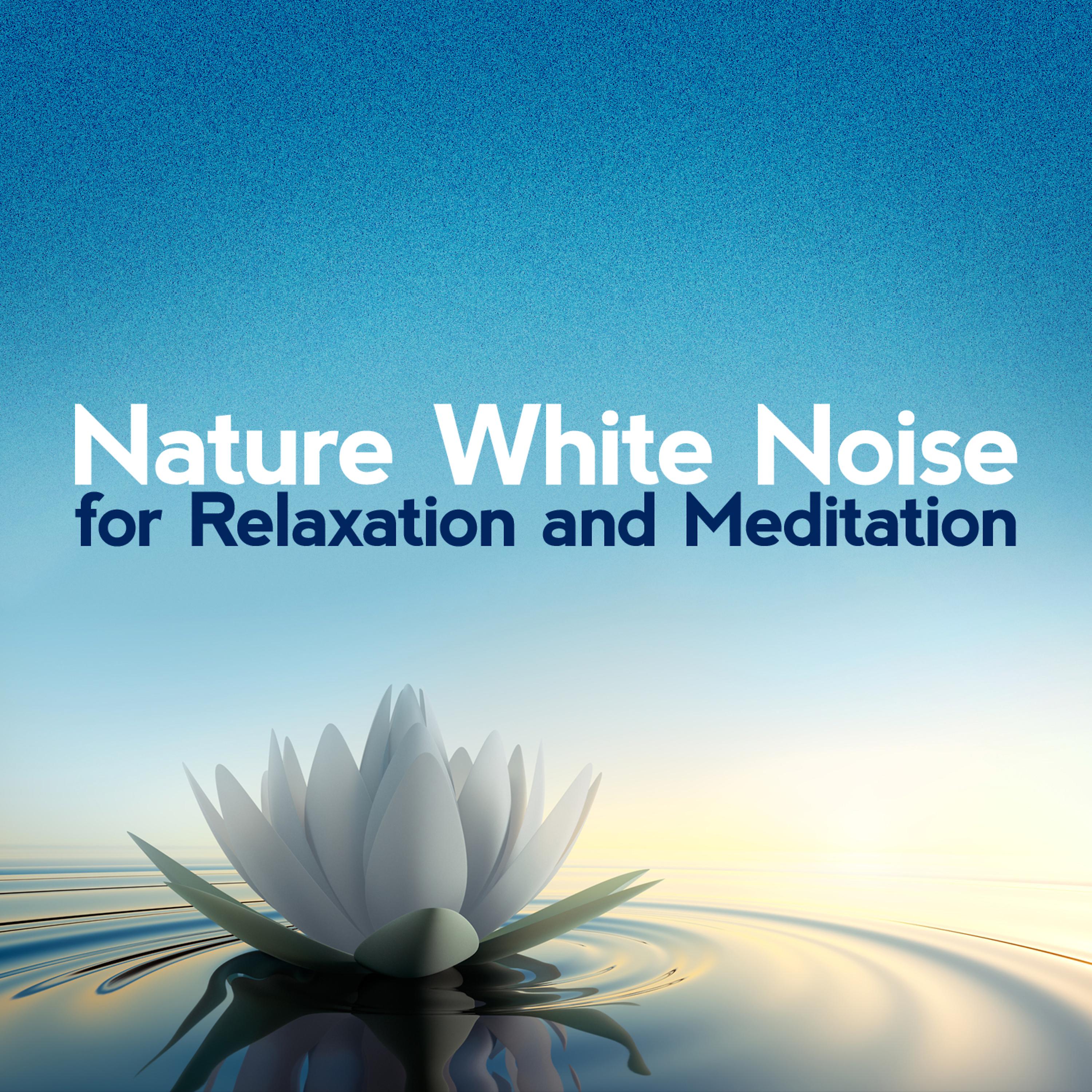 Постер альбома Nature White Noise for Relaxation and Meditation