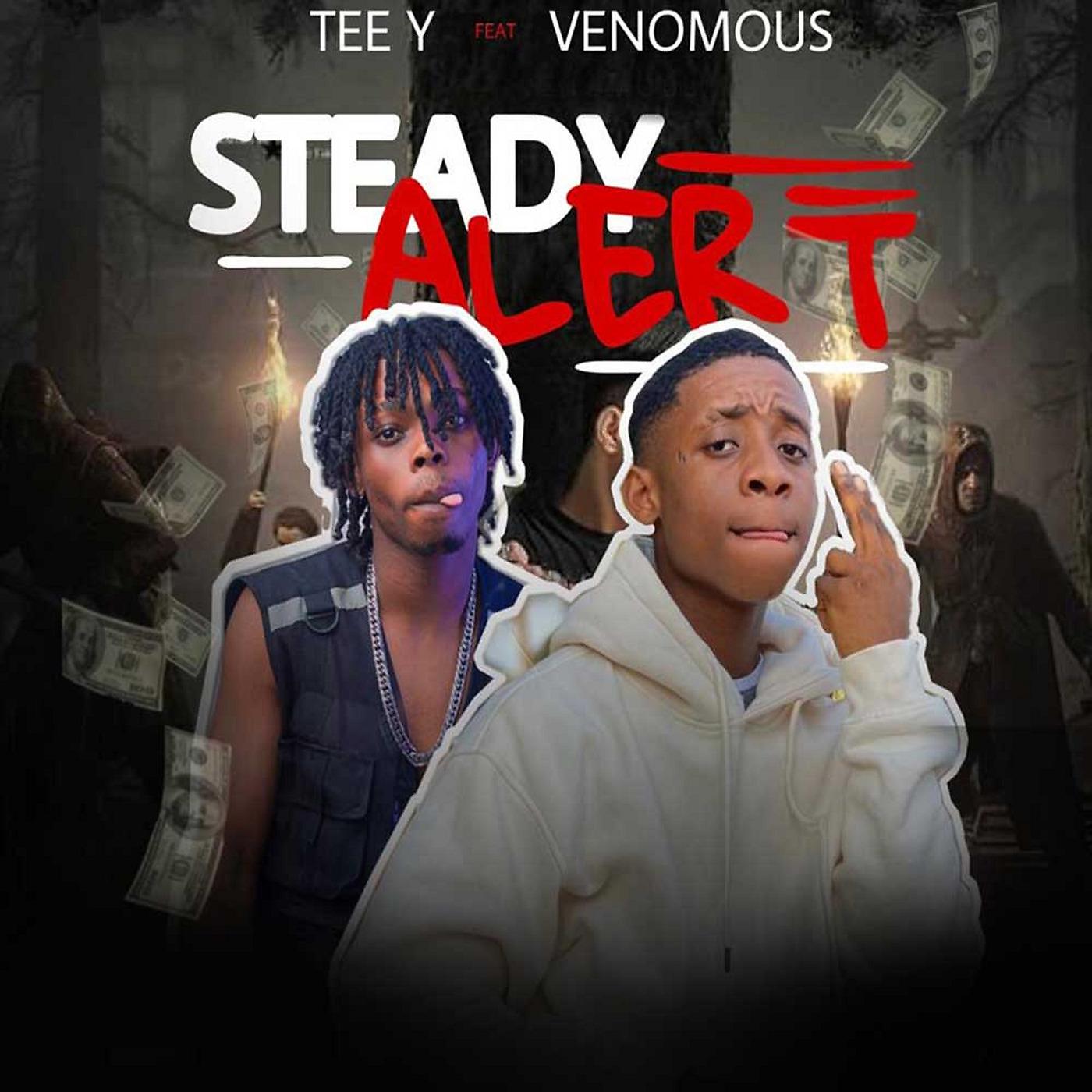 Постер альбома Steady Alert