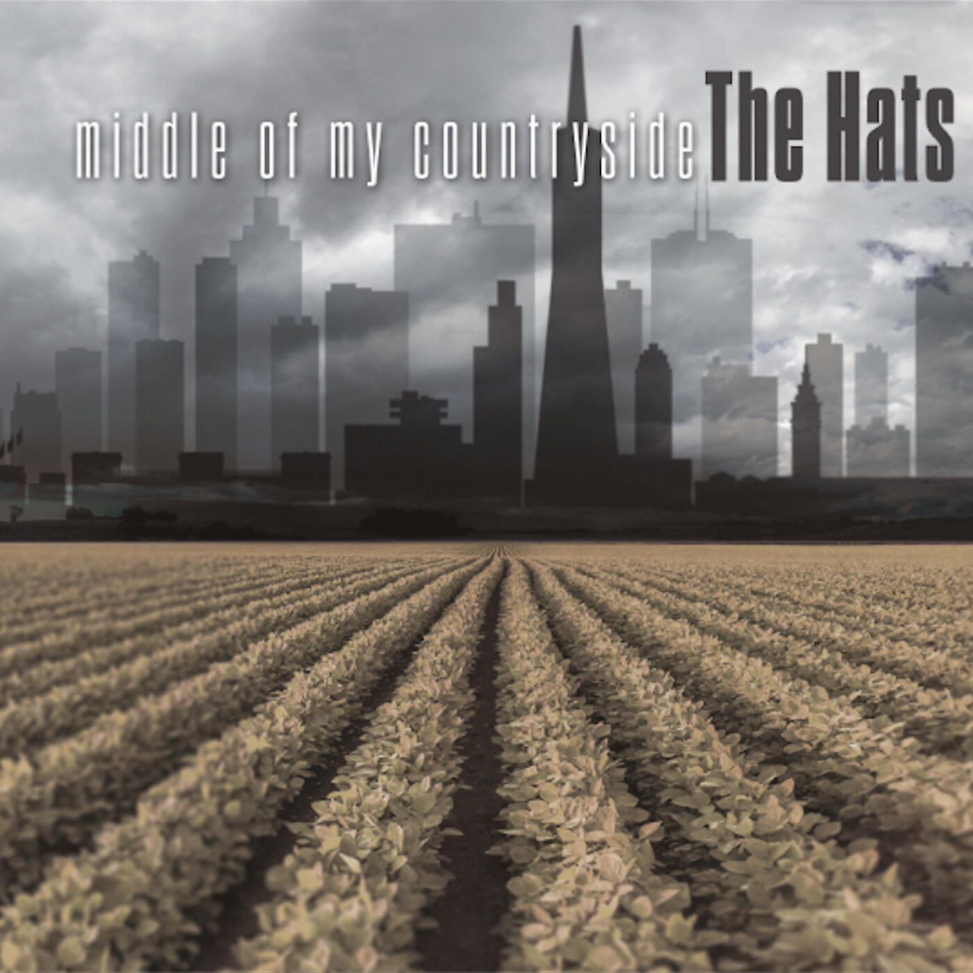 The Hats - 34.99 in North Platte