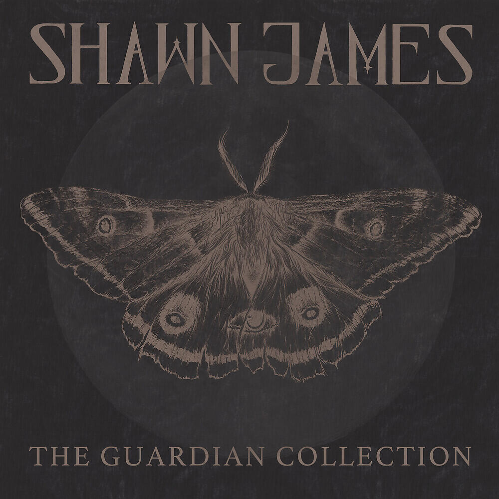 Shawn James - The Curse of The Fold (Acoustic)