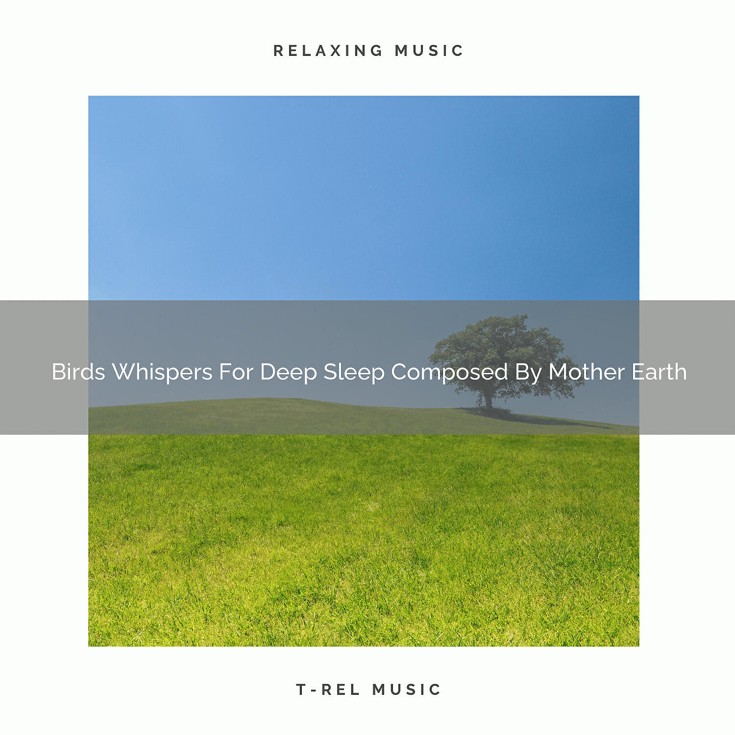 Nature Songs Nature Music - The Sounds Of Mother Earth And River
