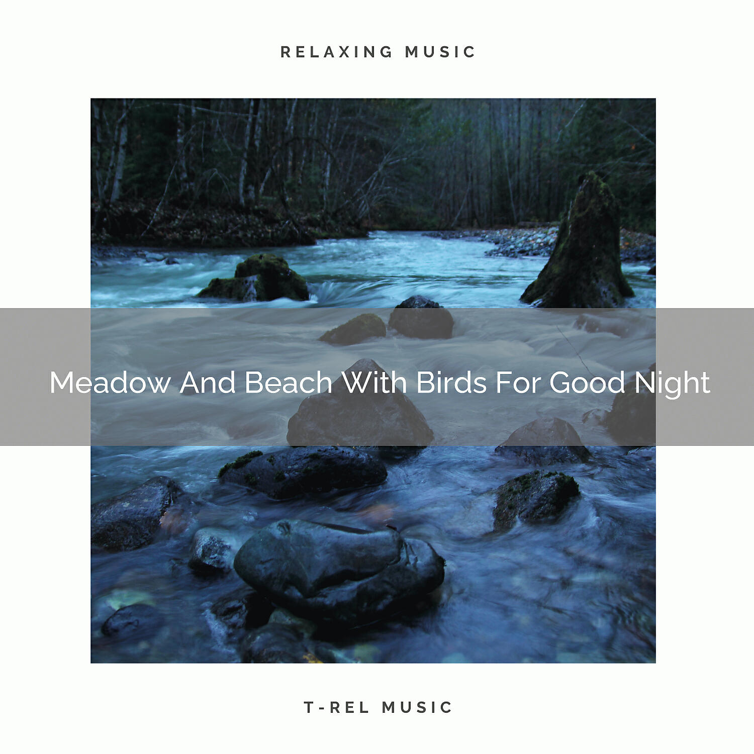 Nature Music Nature Songs - The Sounds Of Mother Earth And Birds