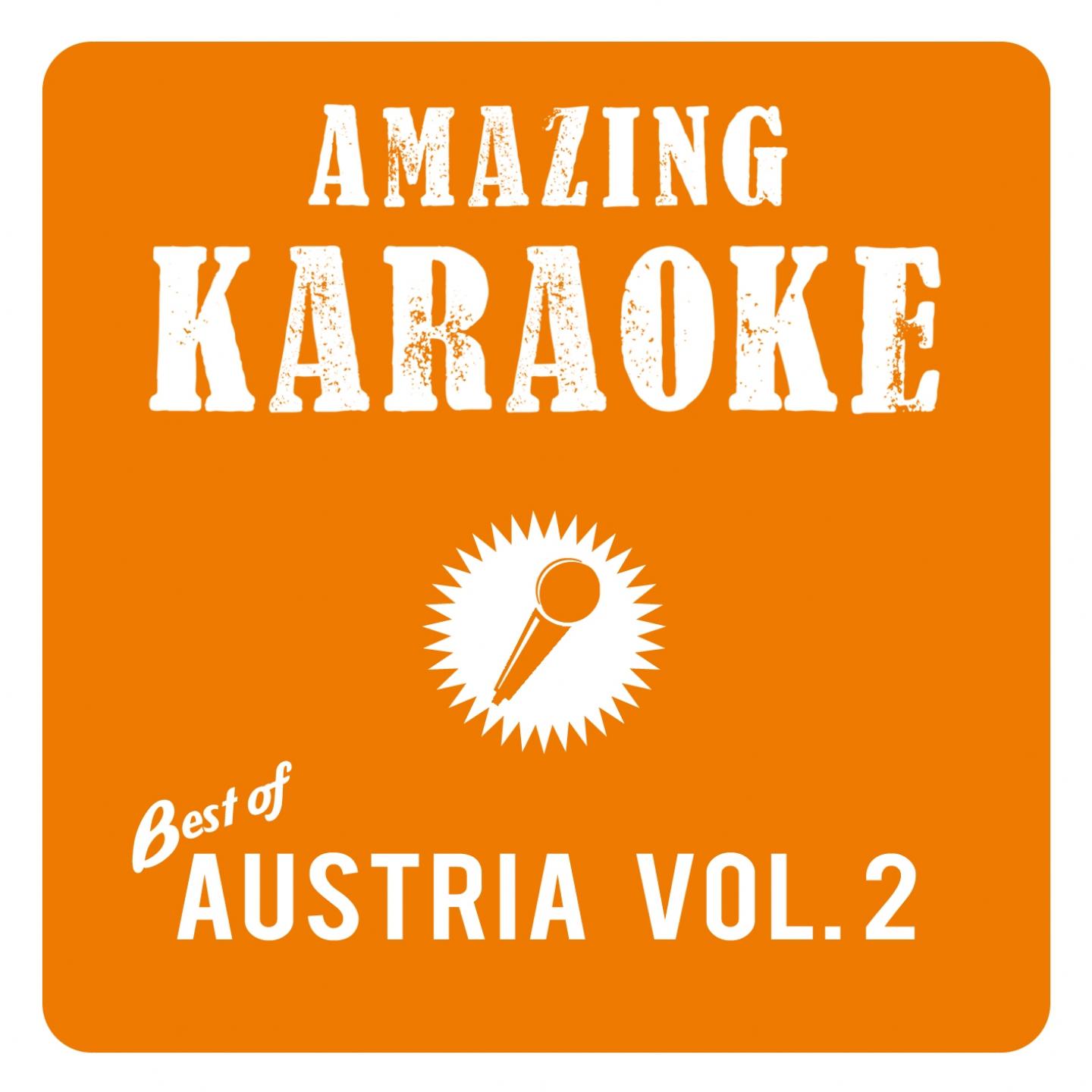 Amazing Karaoke - Wohin die Reise (Karaoke Version) (Originally Performed By STS)