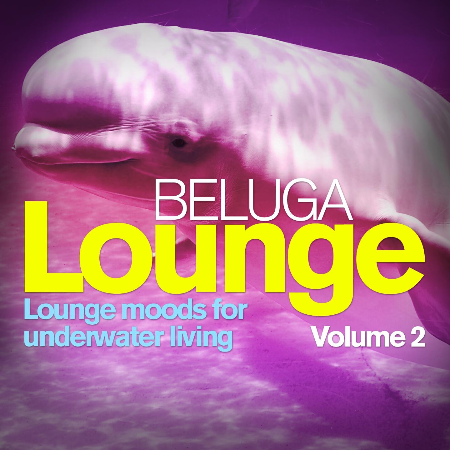 Euphonic Traveller - Loungin @ la rue boissy d anglais