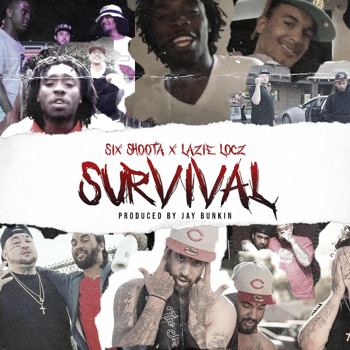 Постер альбома Survival